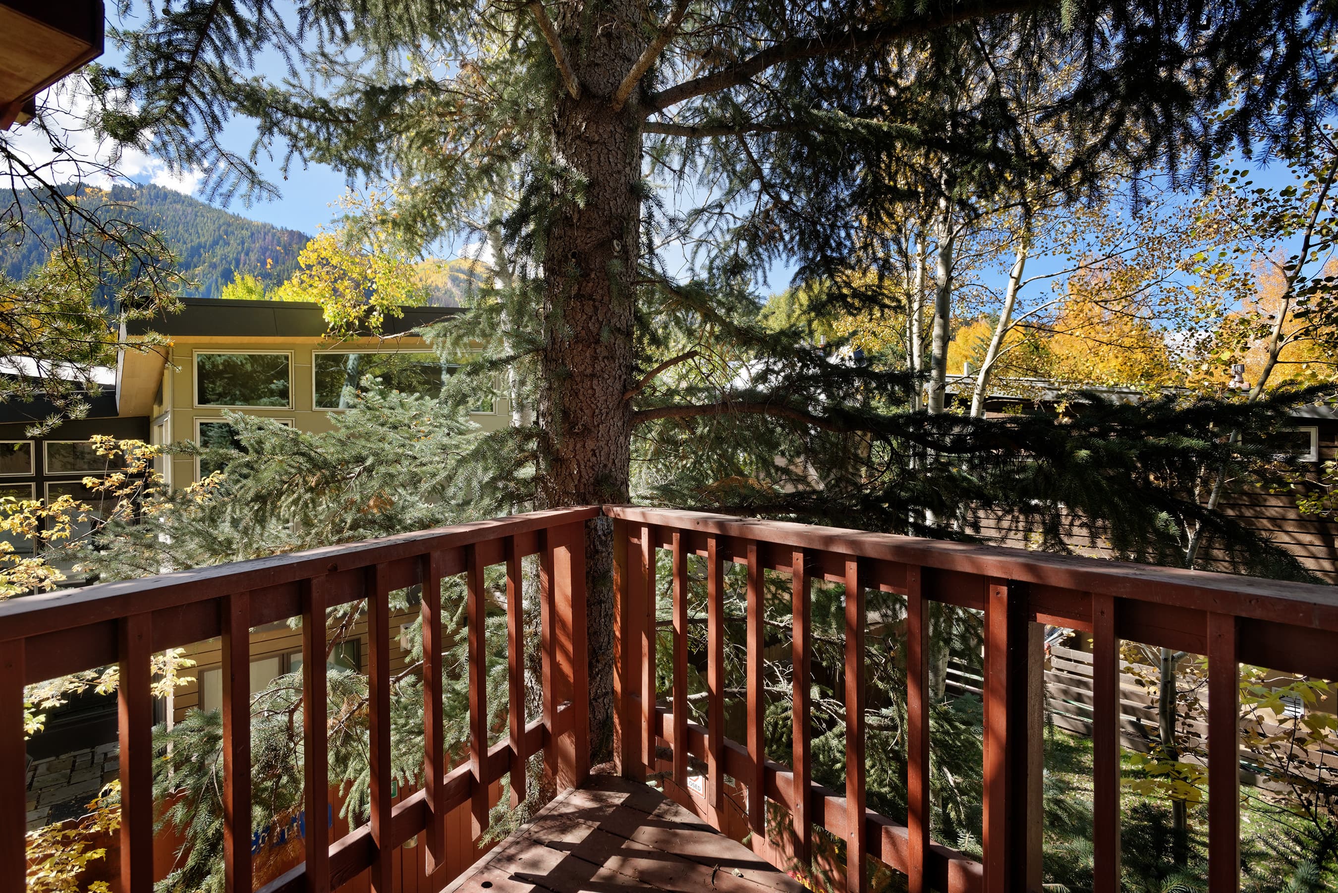 311 Midland Avenue, Aspen, CO 81611 - Photo 23