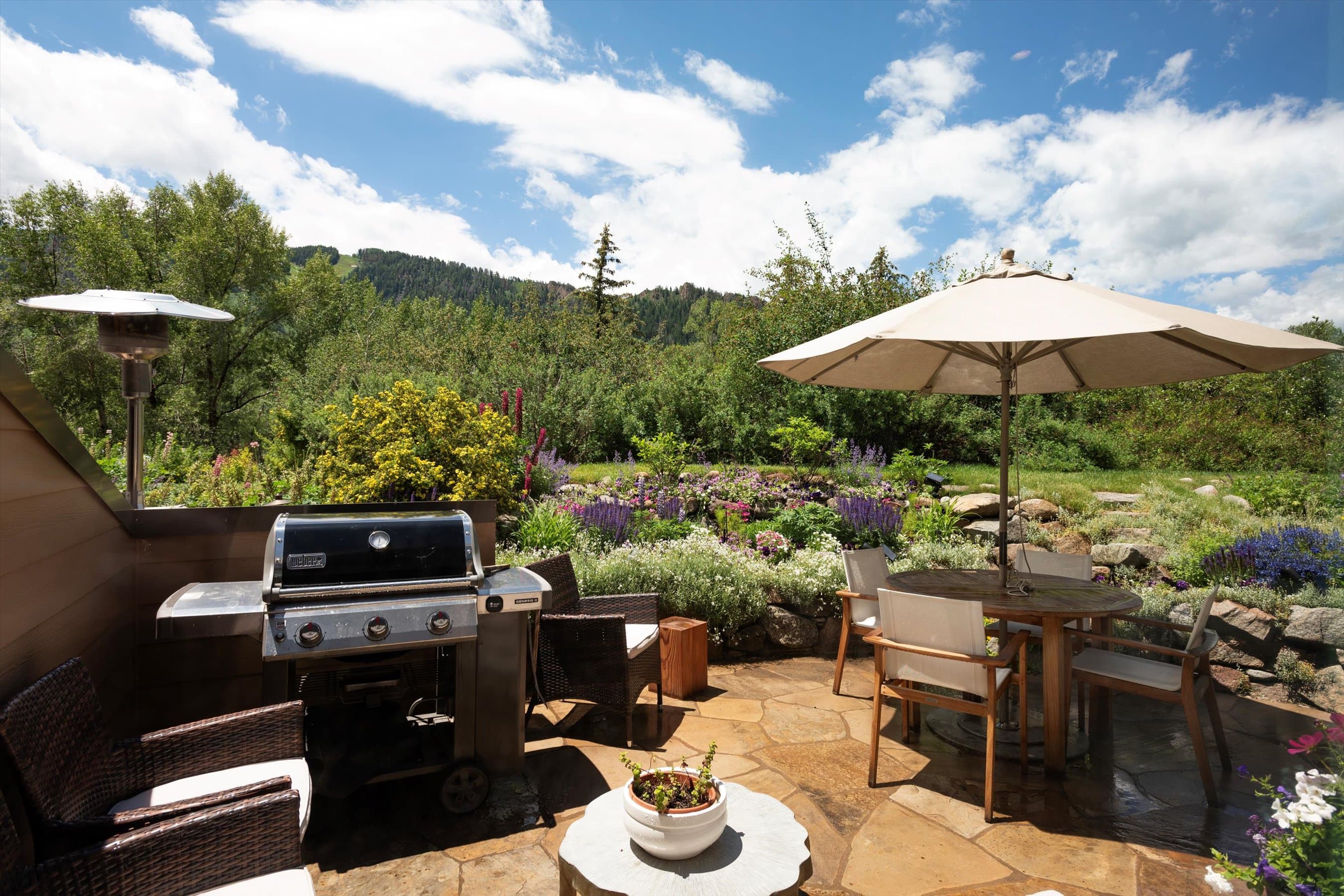 155 Lone Pine Road 8, Aspen, CO 81611 - Photo 24