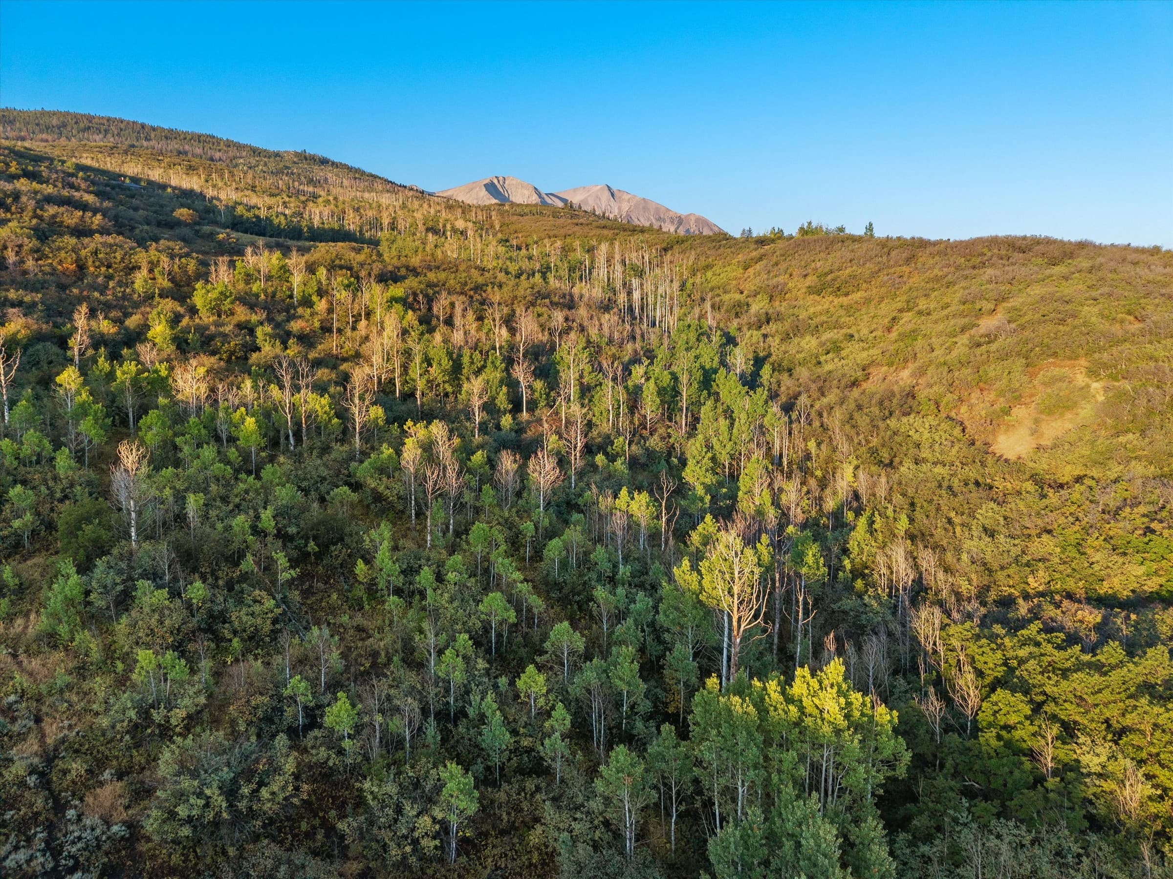 Tbd Old Herron Road, Basalt, CO 81621 - Photo 13