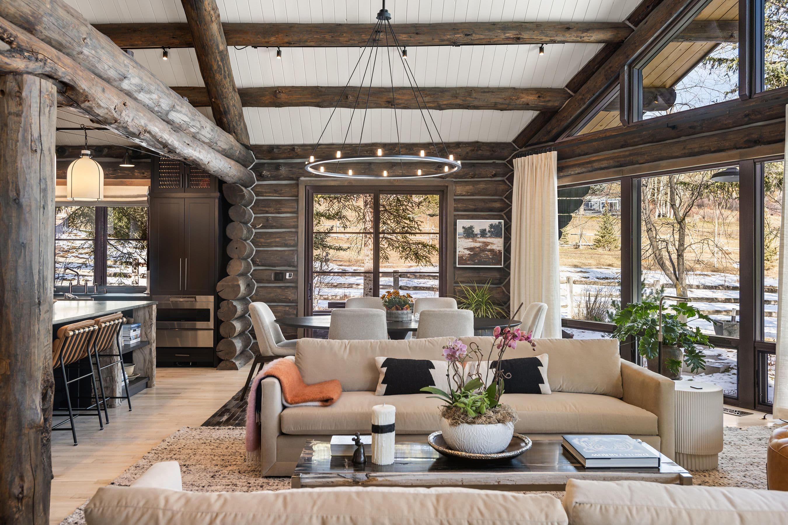 103 Alexander Avenue, Snowmass, CO 81654 - Photo 5