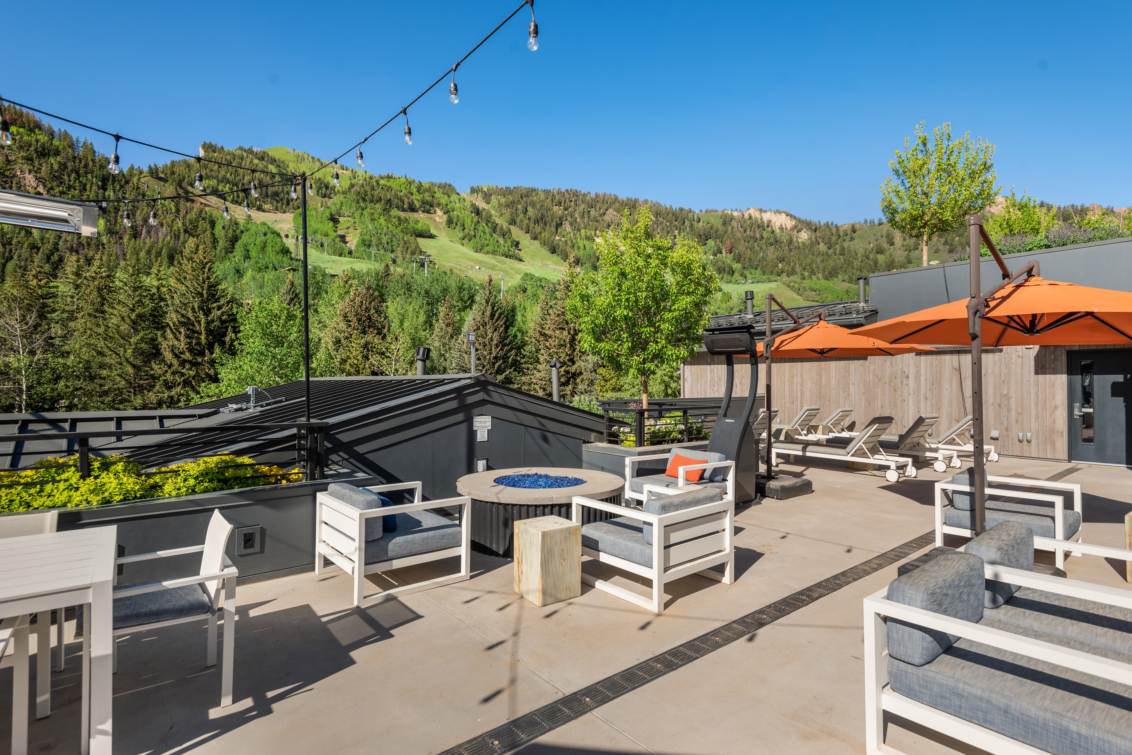 550 S Spring Street 392, Aspen, CO 81611 - Photo 24