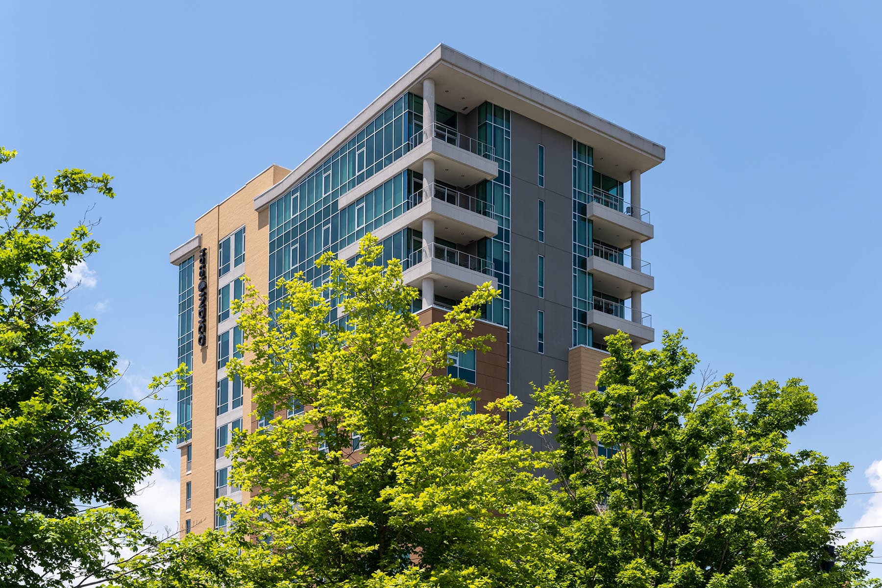 151 Haywood Street  - Photo 3