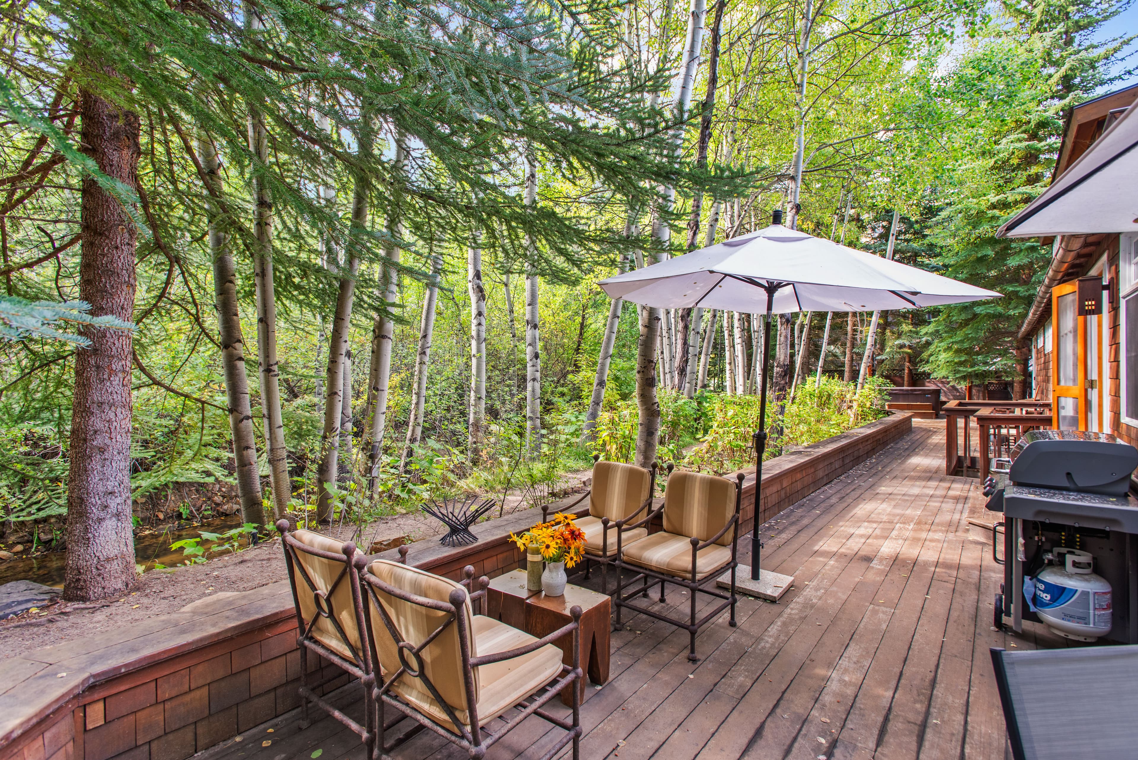 66 Alpine Court, Aspen, CO 81611 - Photo 9