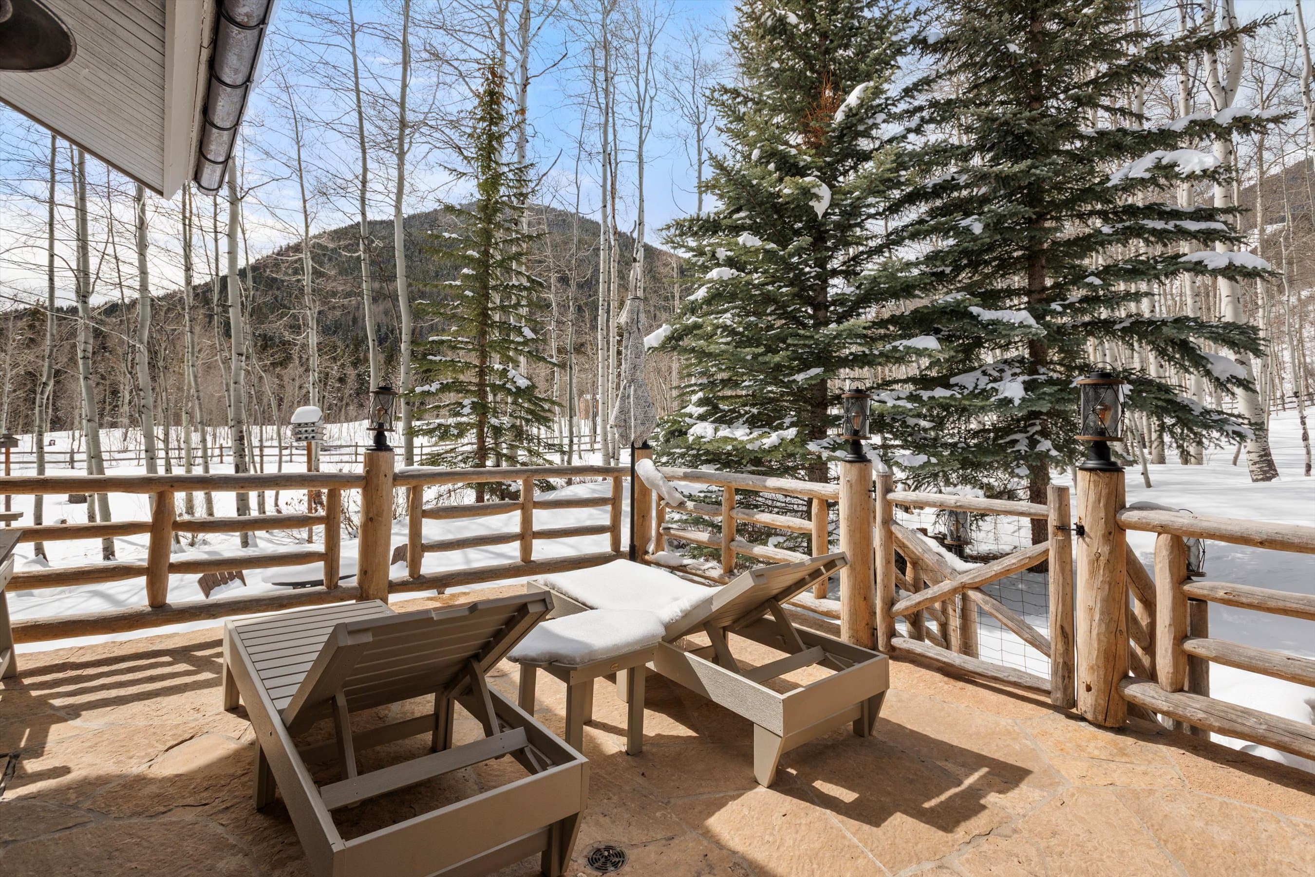 303 Conundrum Creek Road, Aspen, CO 81611 - Photo 36