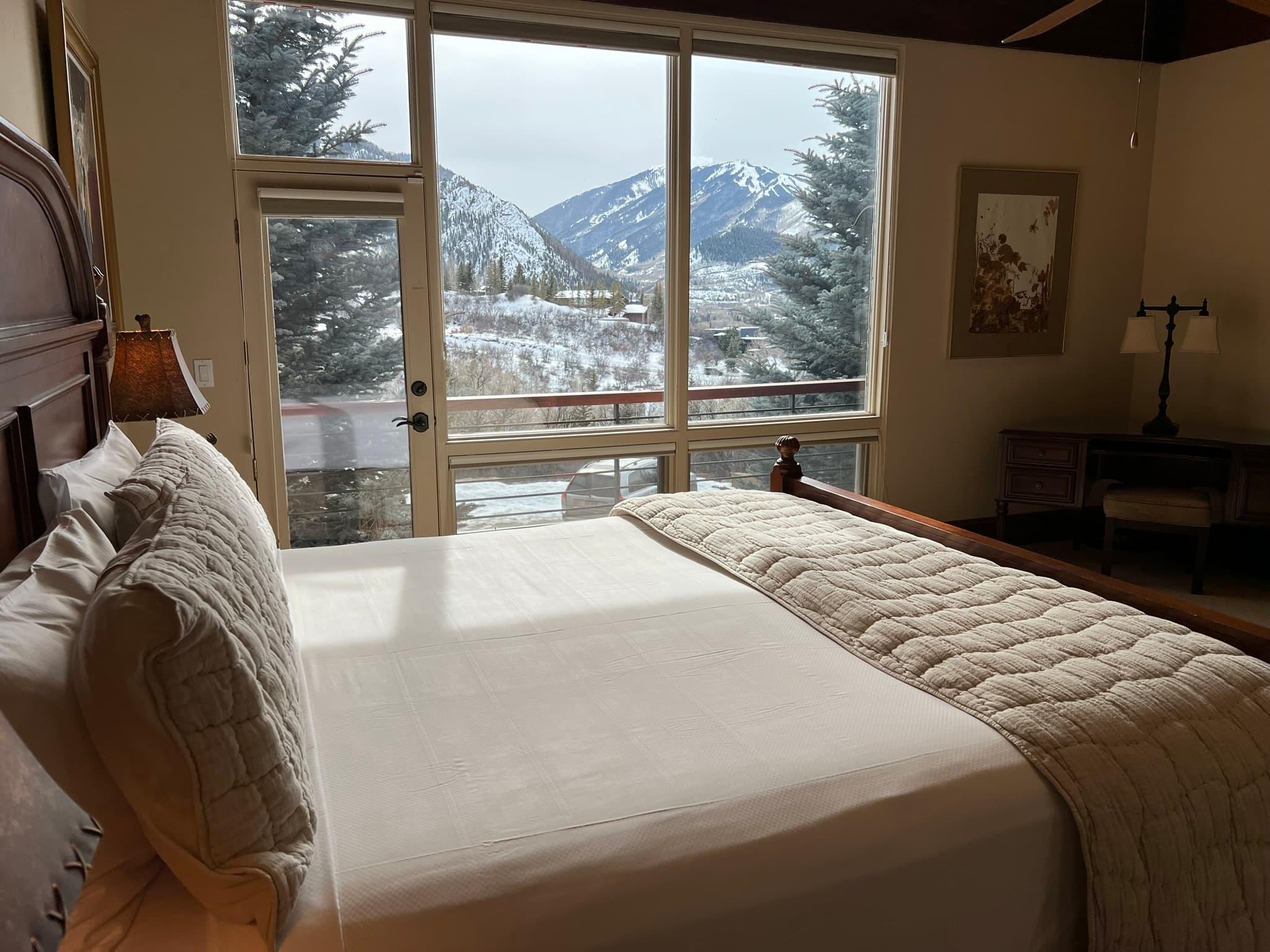 185 Nighthawk Drive, Aspen, CO 81611 - Photo 18