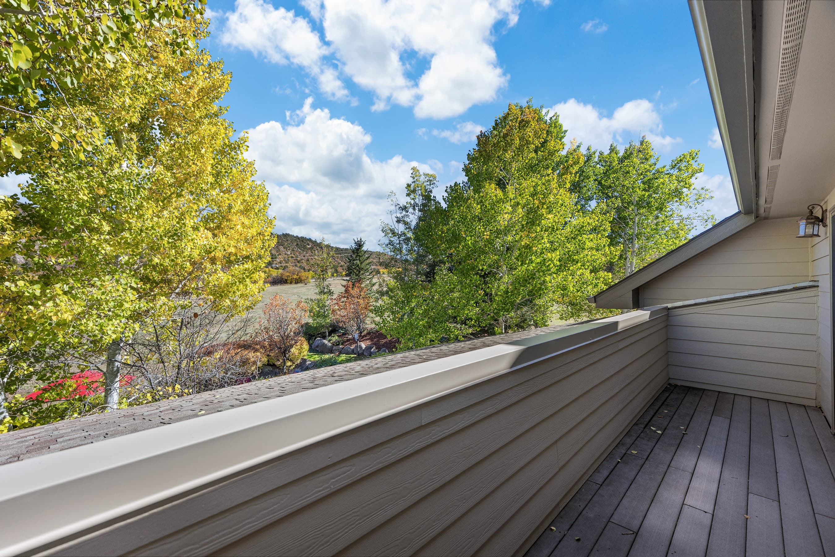 264 S Oak Way, Glenwood Springs, CO 81601 - Photo 27