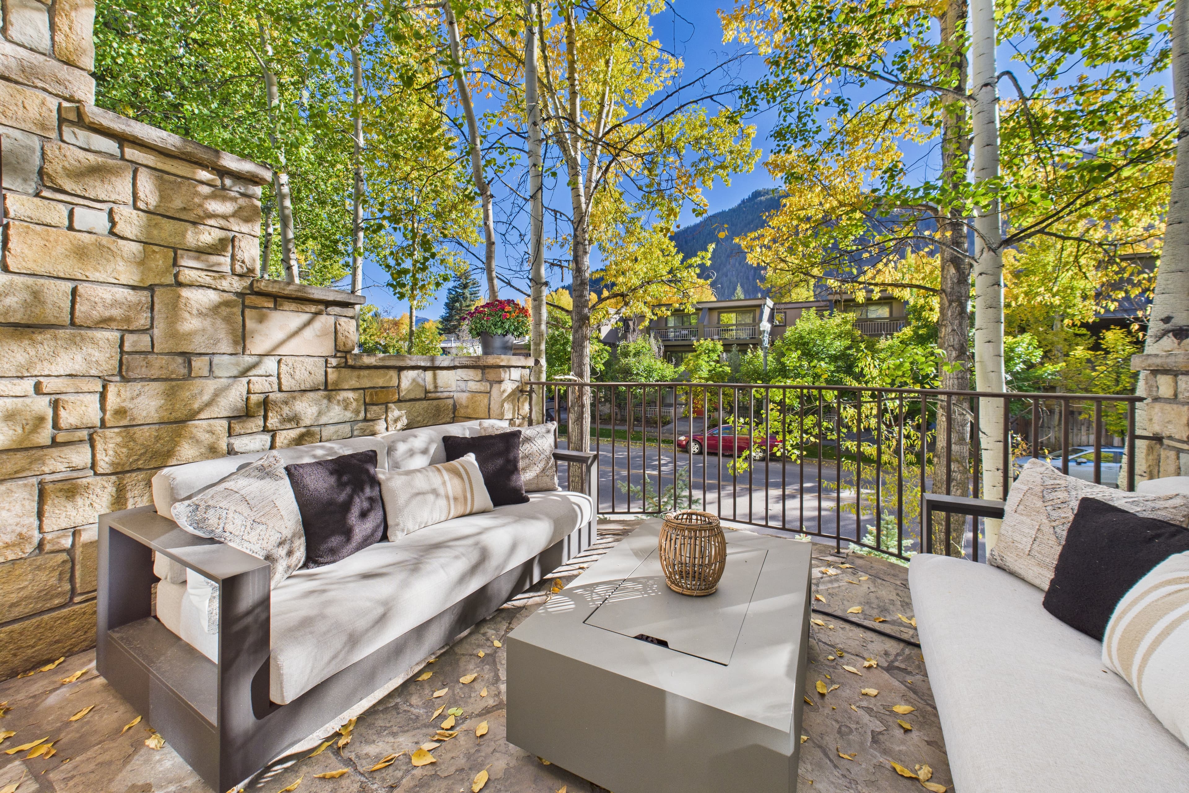 910 E Cooper Avenue, Aspen, CO 81611 - Photo 33