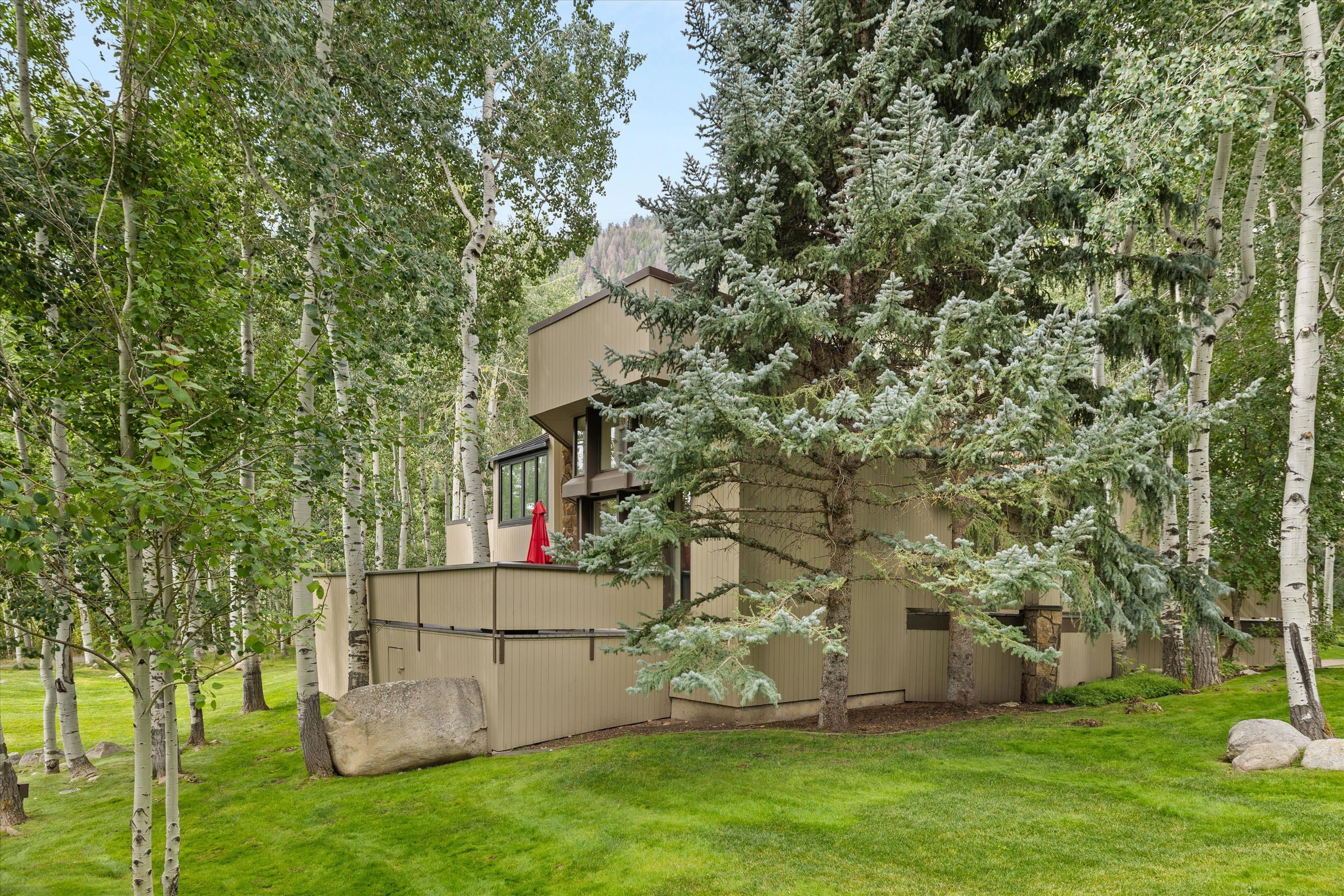 1443 Crystal Lake Road 3E, Aspen, CO 81611 - Photo 20