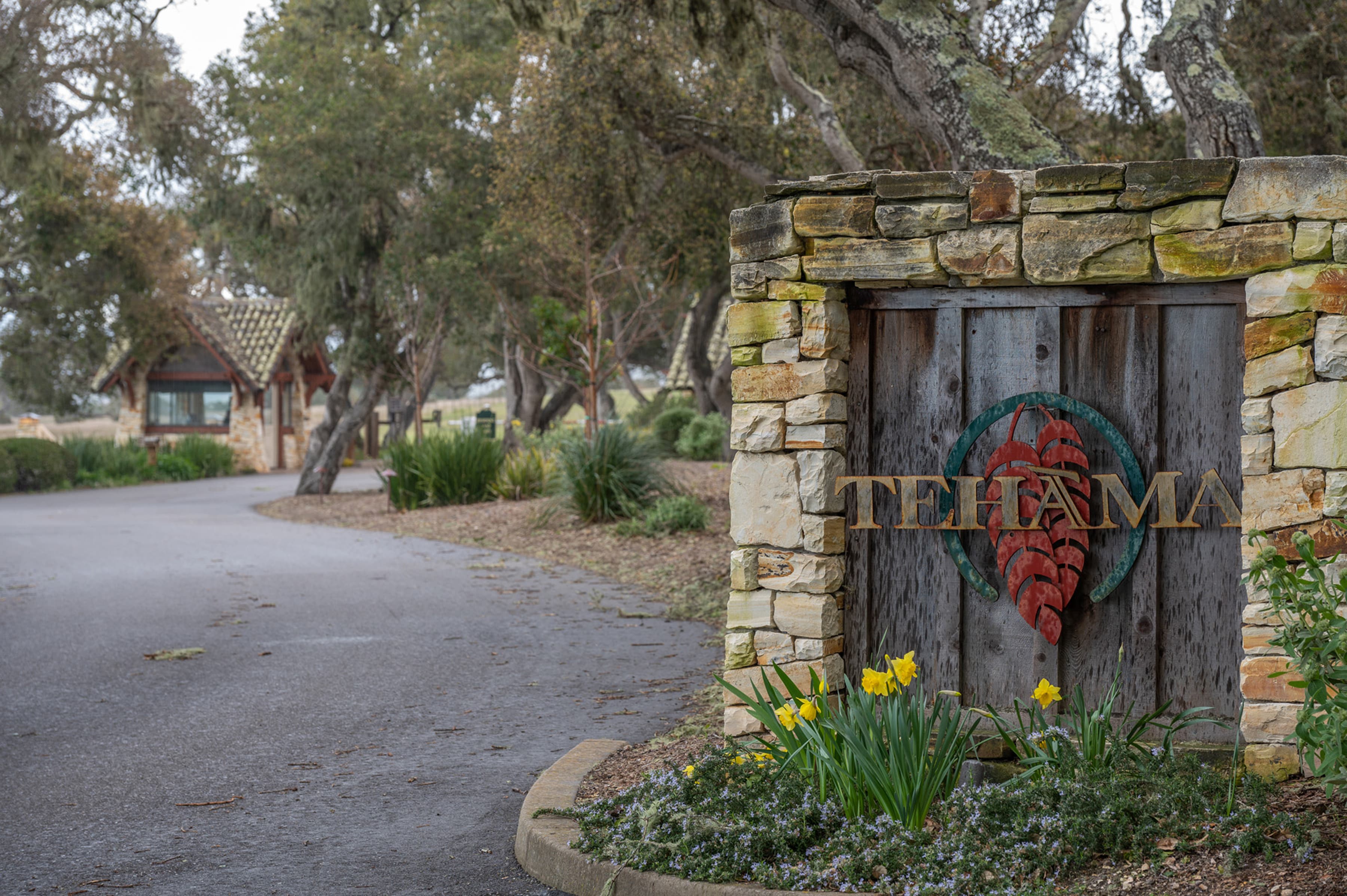 25825 Via Malpaso (Lot 68) - Photo 5