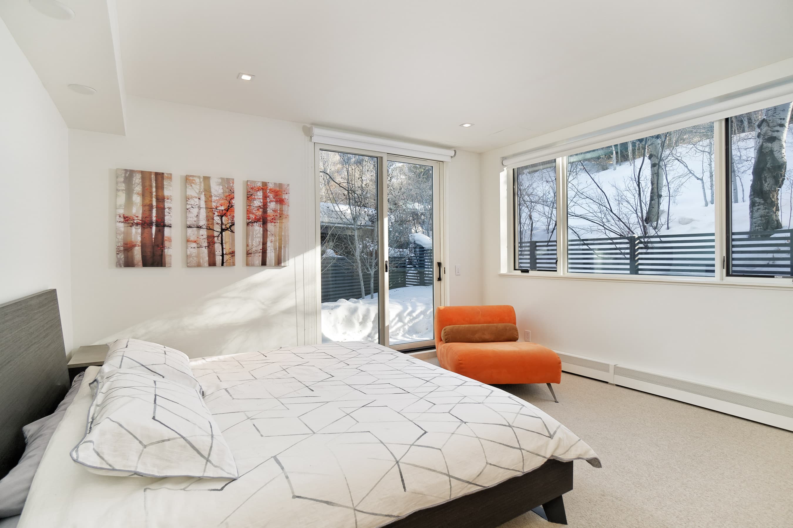 100 Park Avenue, Aspen, CO 81611 - Photo 19