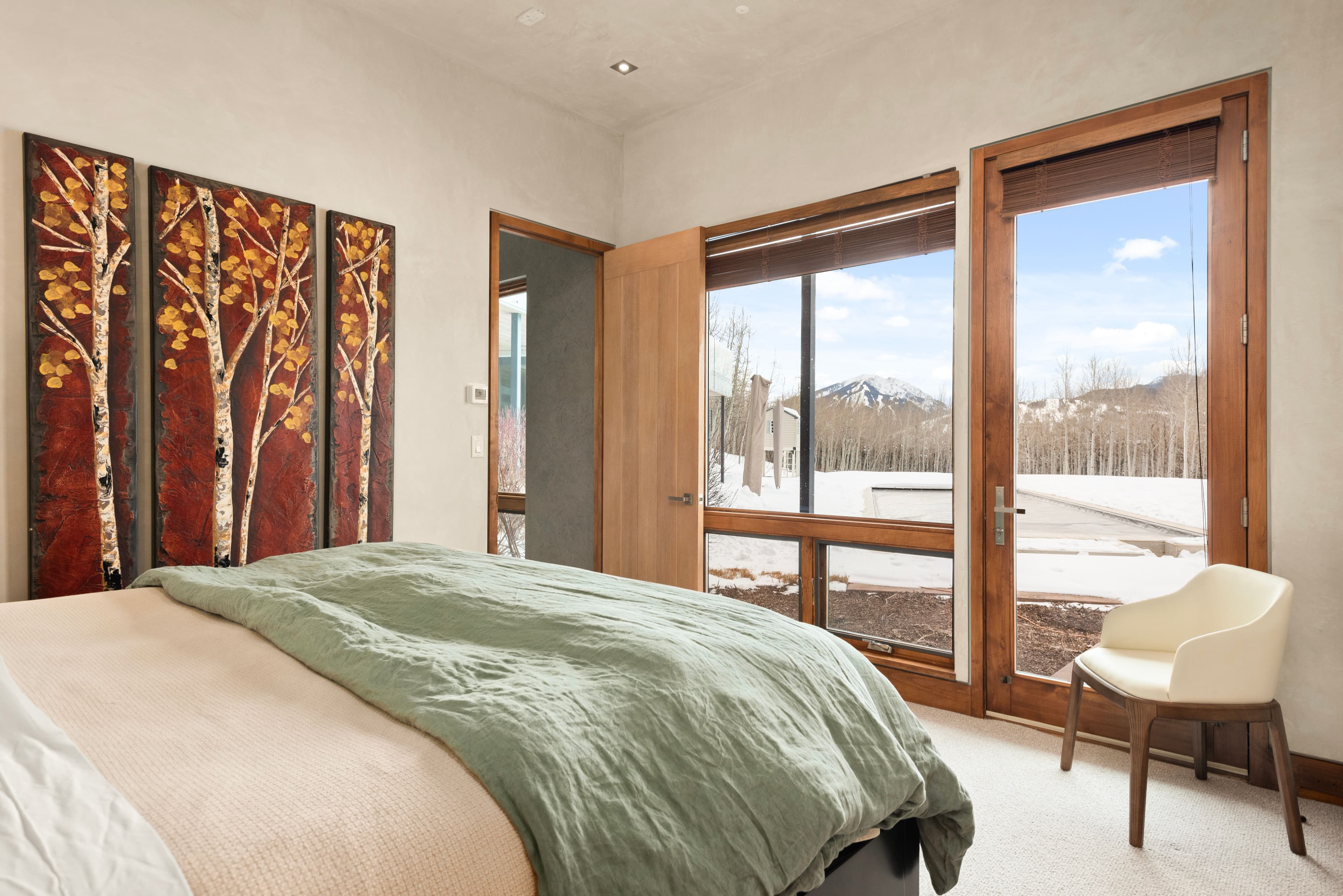 975 S Starwood, Aspen, CO 81611 - Photo 15