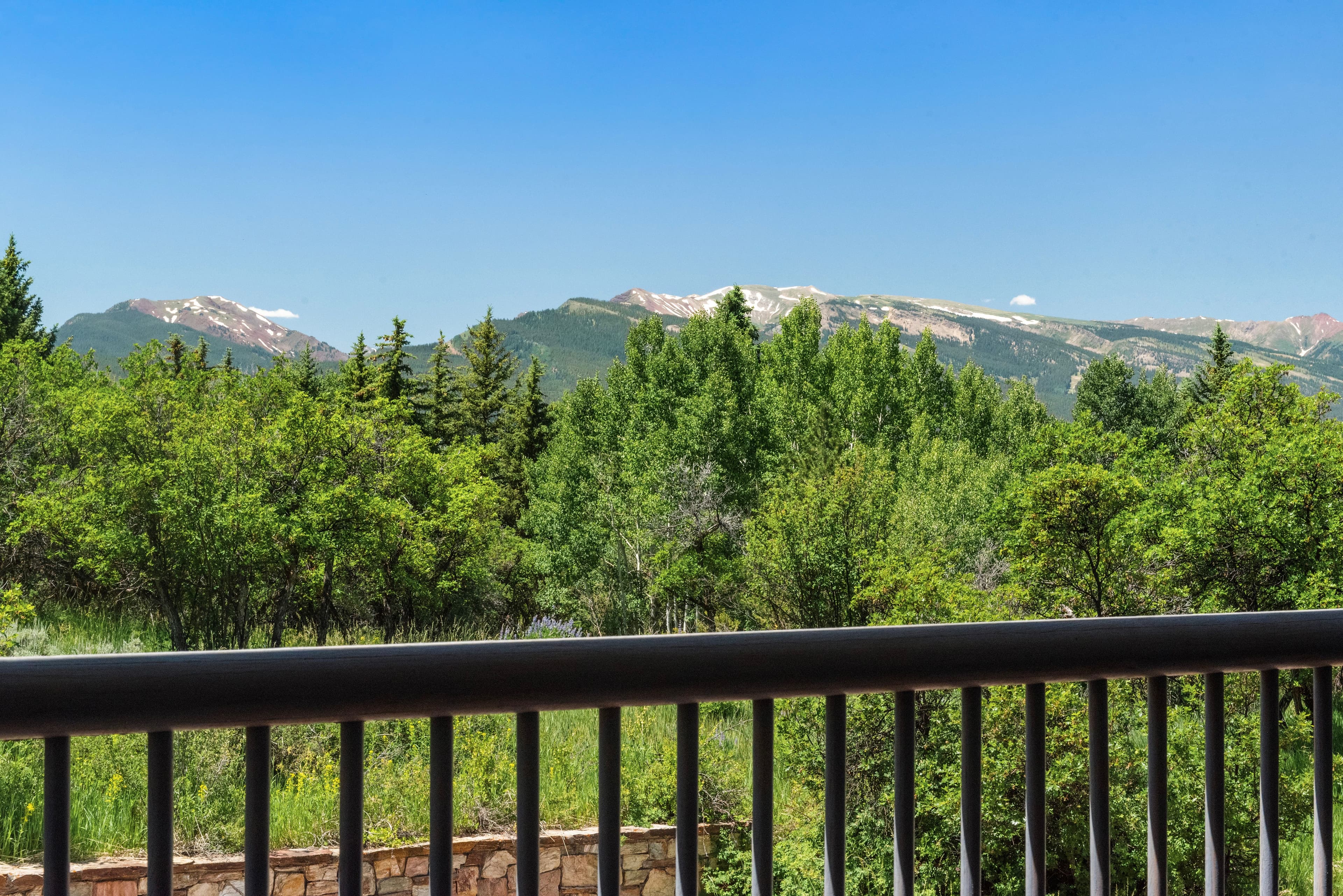 623 Johnson Drive, Aspen, CO 81611 - Photo 8