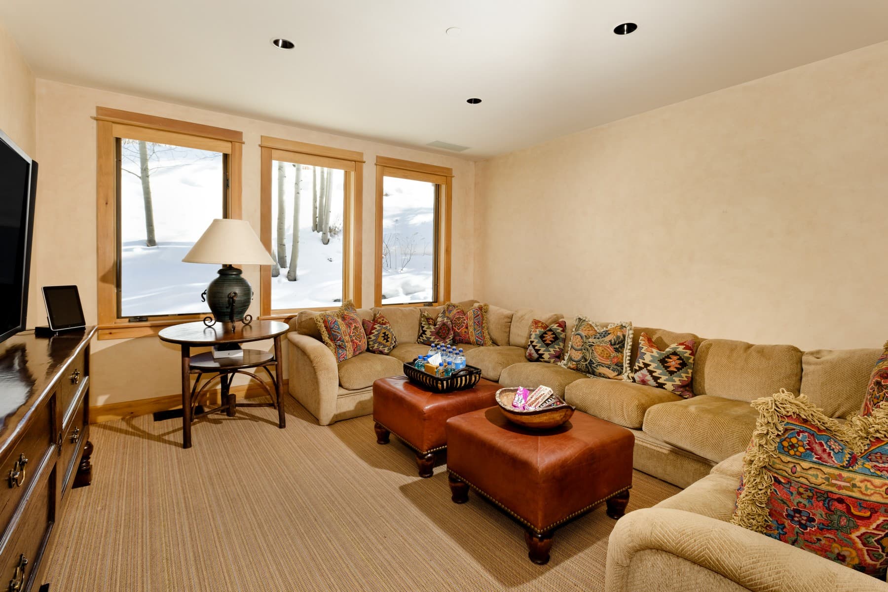 849 Serviceberry Lane, Snowmass Village, CO 81615 - Photo 3