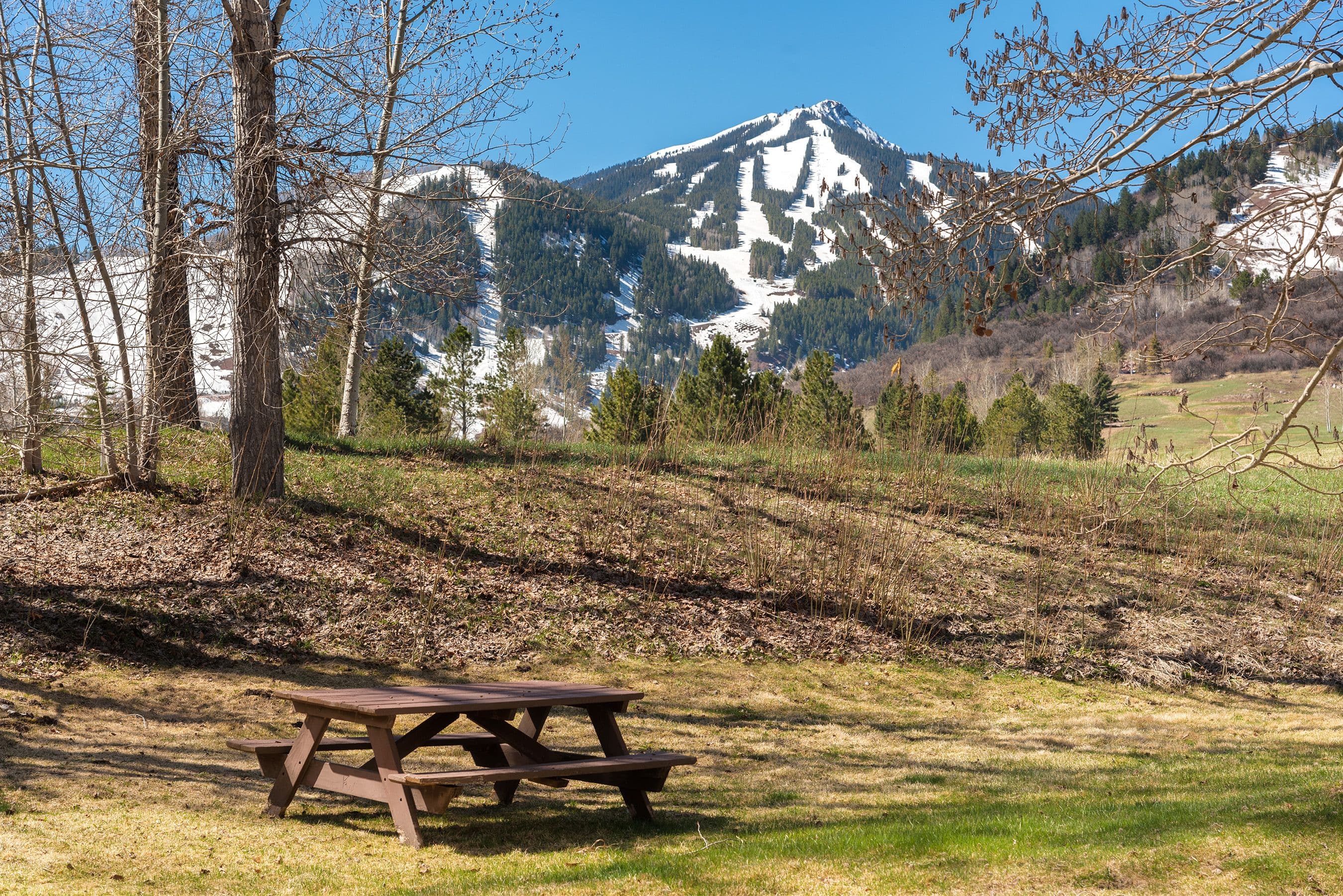 39060 Highway 82 #A6, Aspen, CO 81611 - Photo 2
