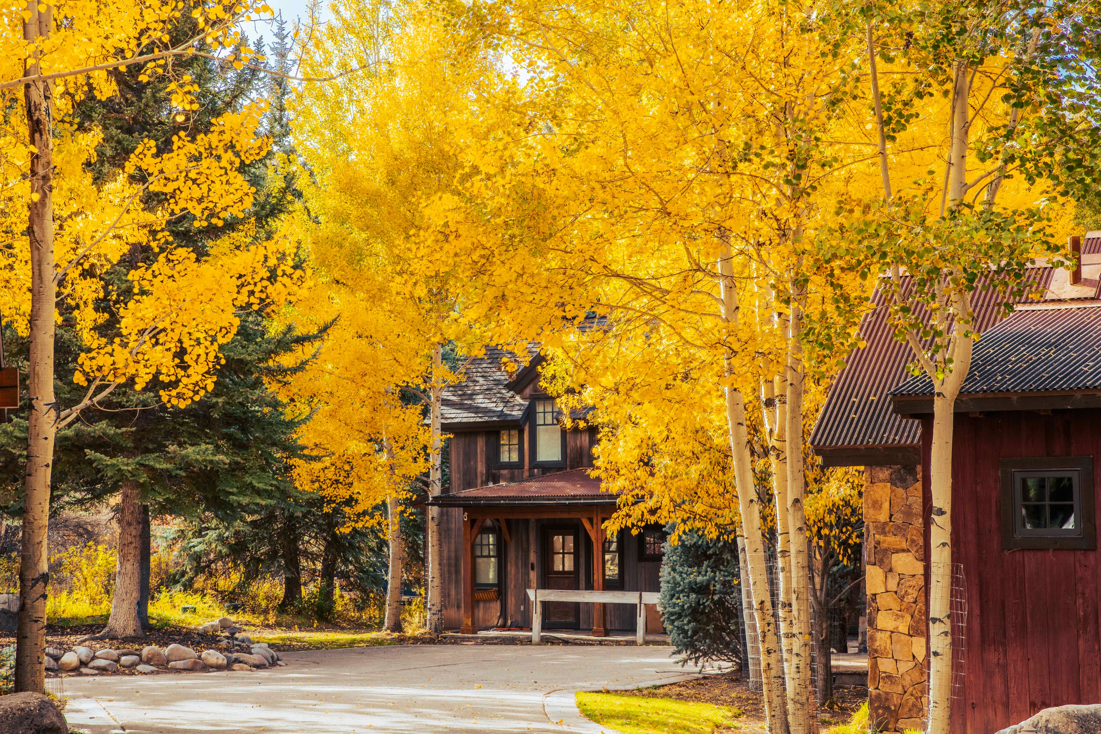 1900/1902 Snowmass Creek Road, Snowmass, CO 81654 - Photo 60