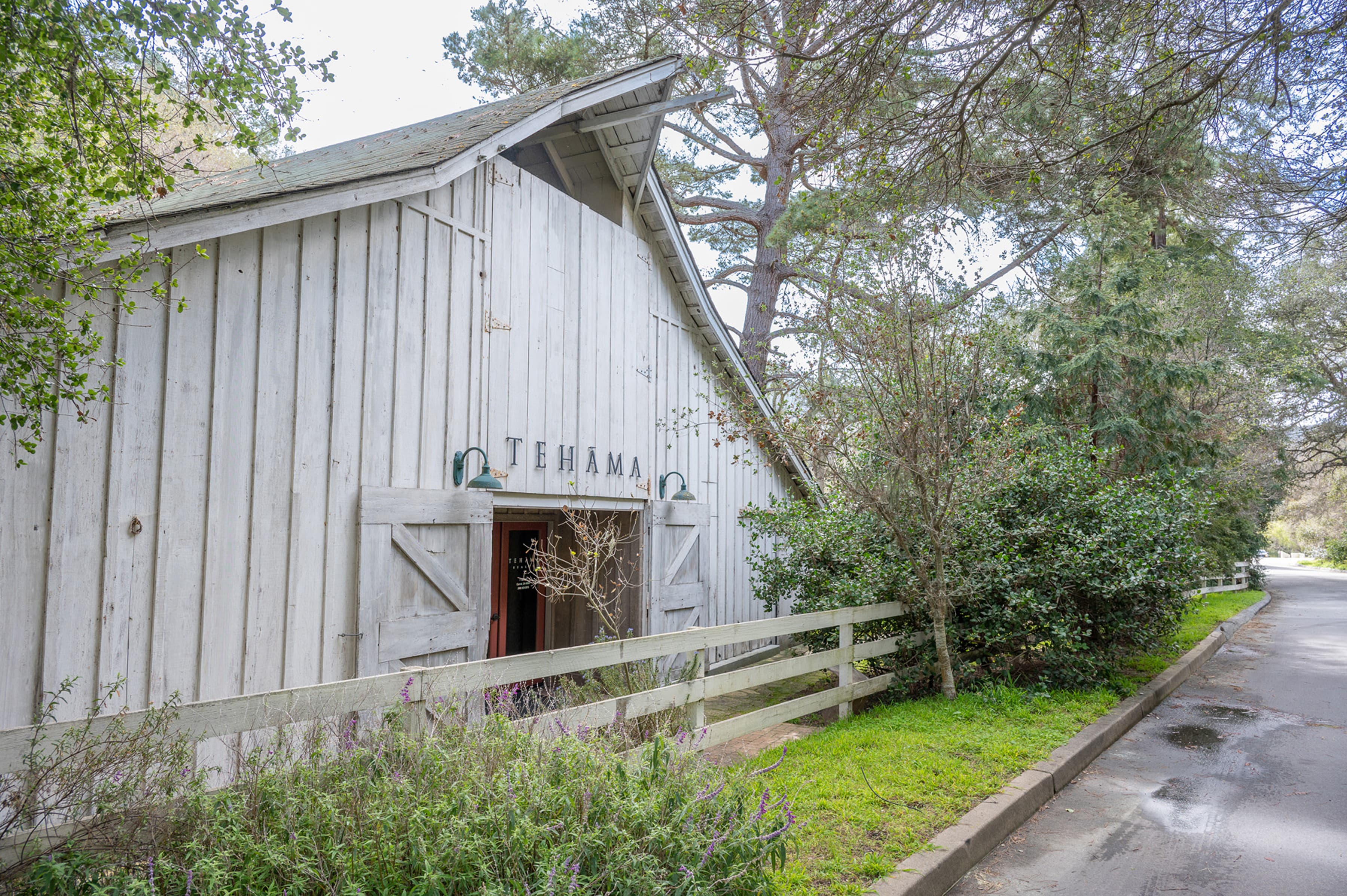 25825 Via Malpaso (Lot 68) - Photo 10