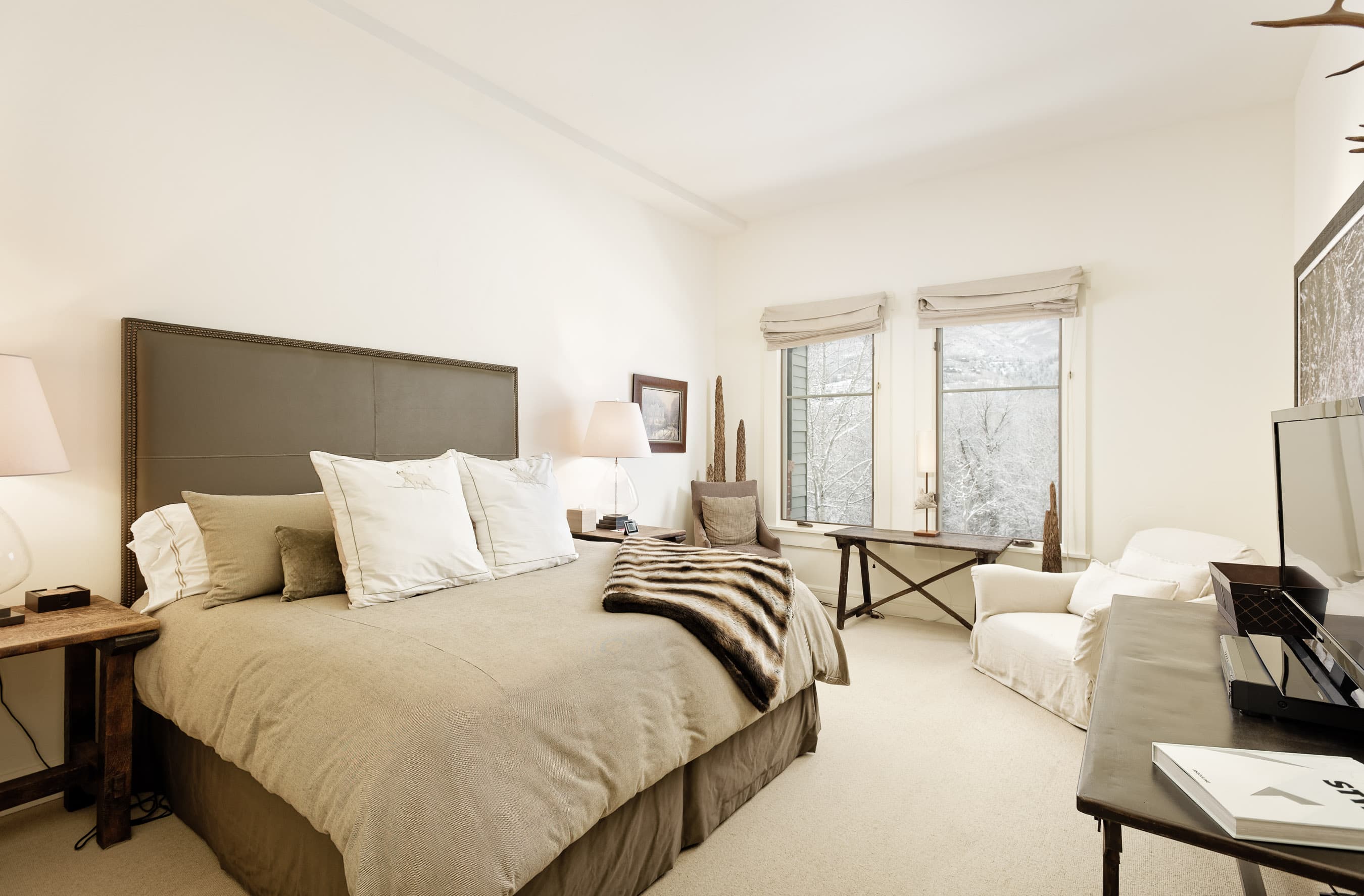 501 Rio Grande Place 201, Aspen, CO 81611 - Photo 3