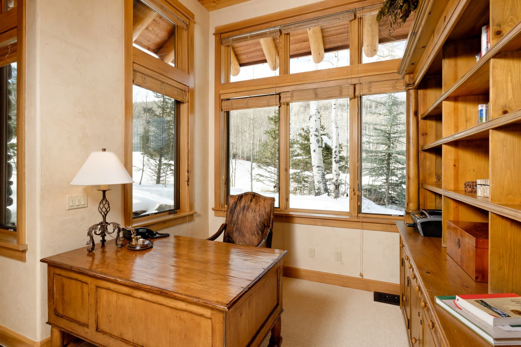 849 Serviceberry Lane, Snowmass Village, CO 81615 - Photo 12