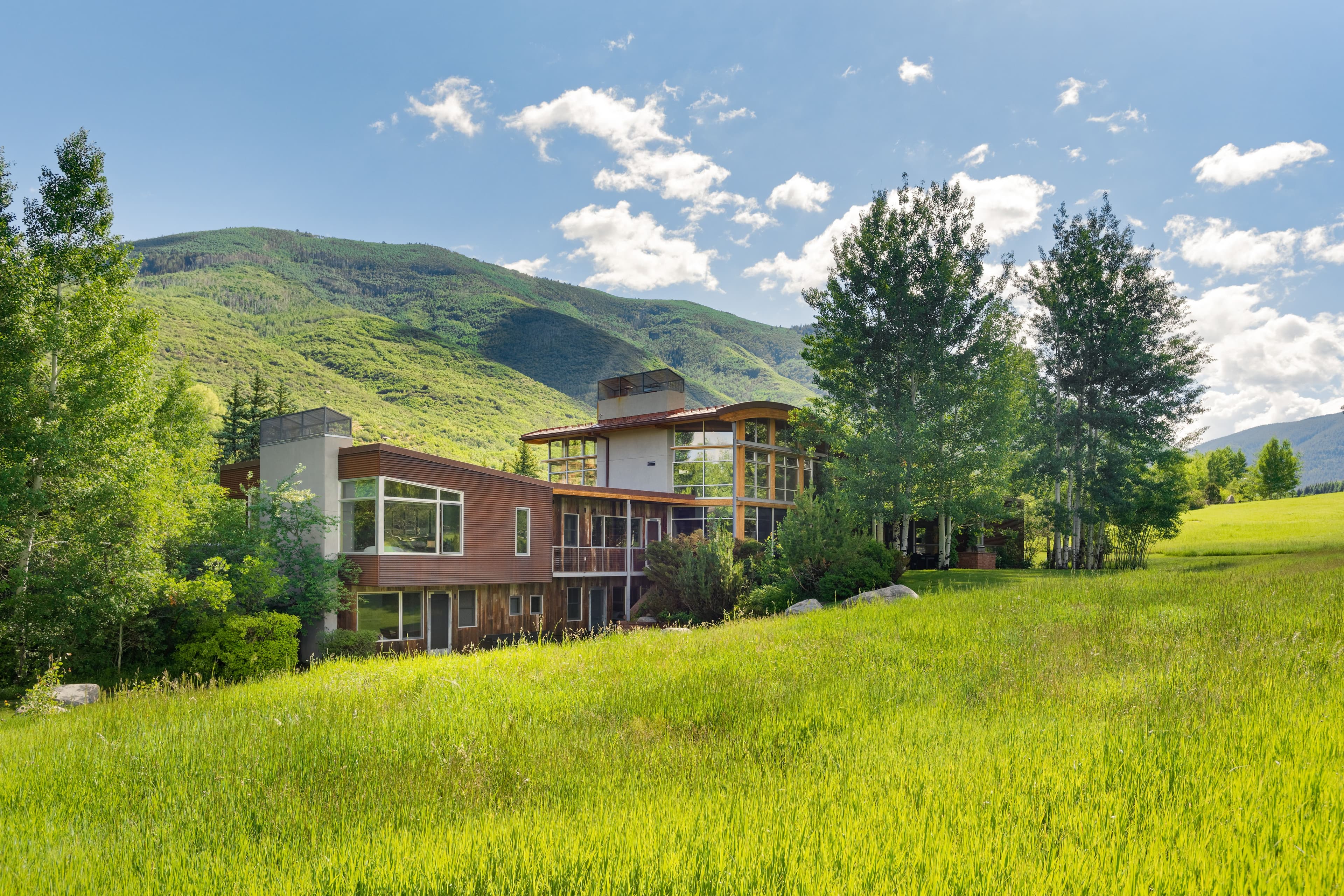 700 Nell Erickson Road, Aspen, CO 81611 - Photo 29