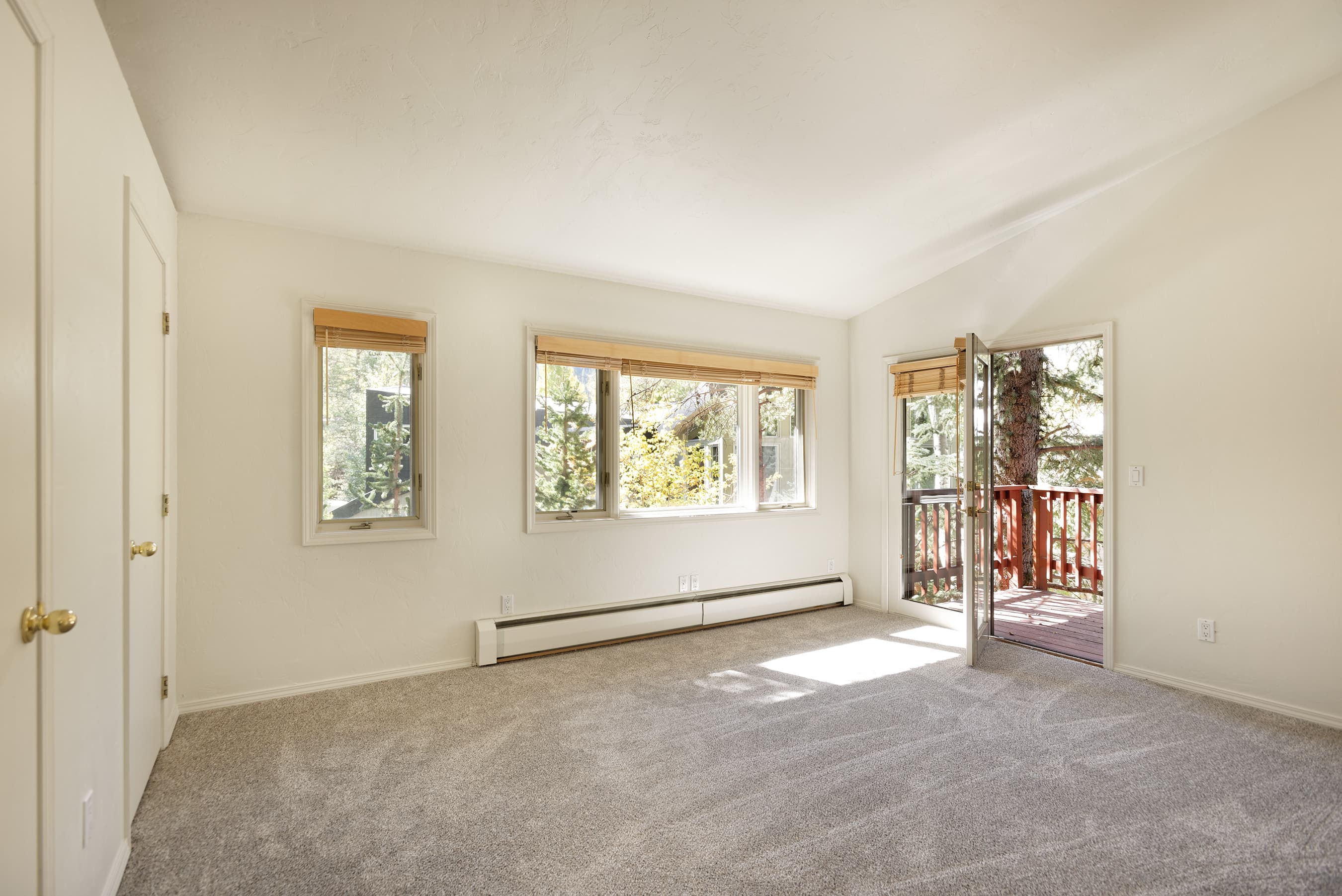 311 Midland Avenue, Aspen, CO 81611 - Photo 31