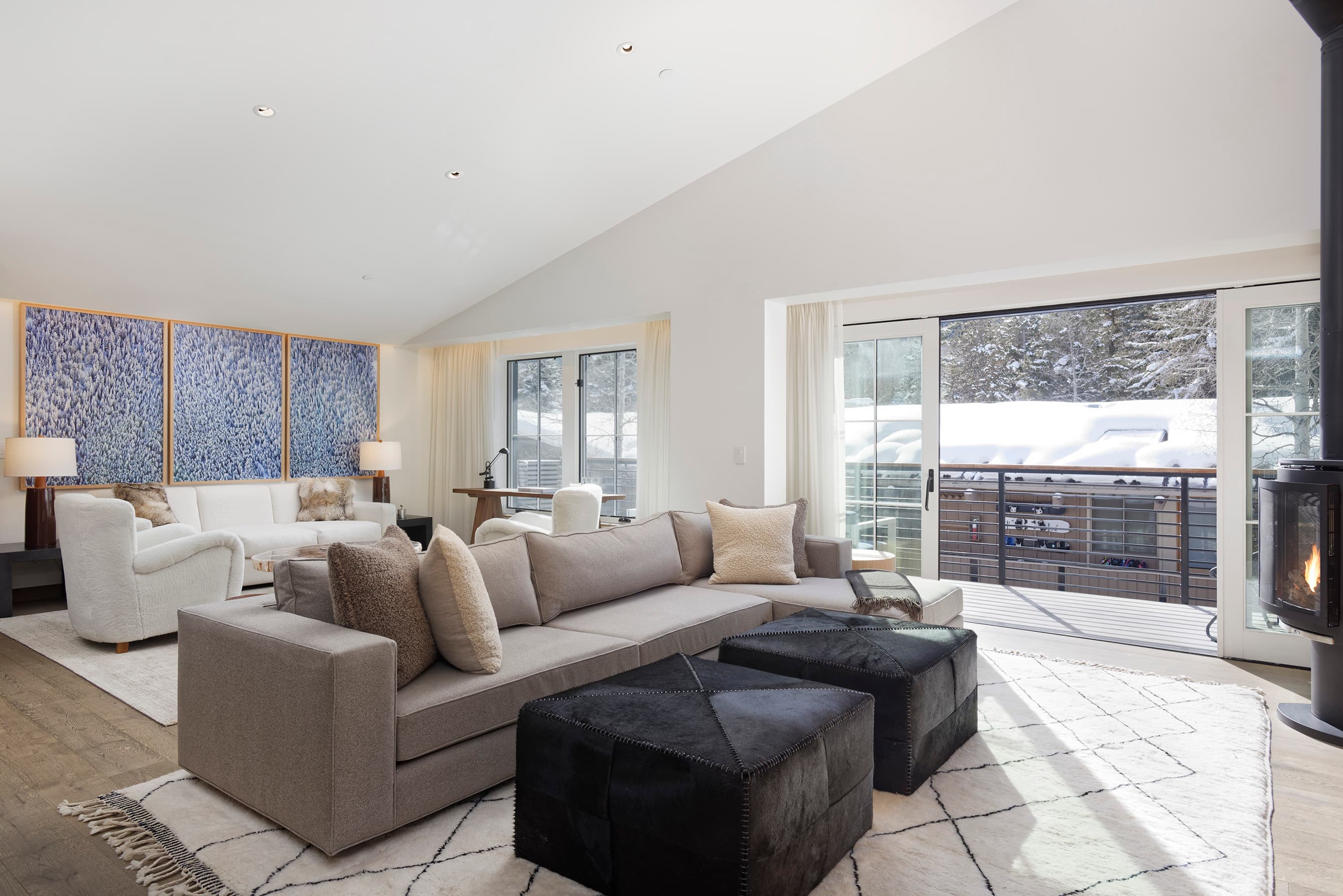 550 S Spring Street 392, Aspen, CO 81611 - Photo 12