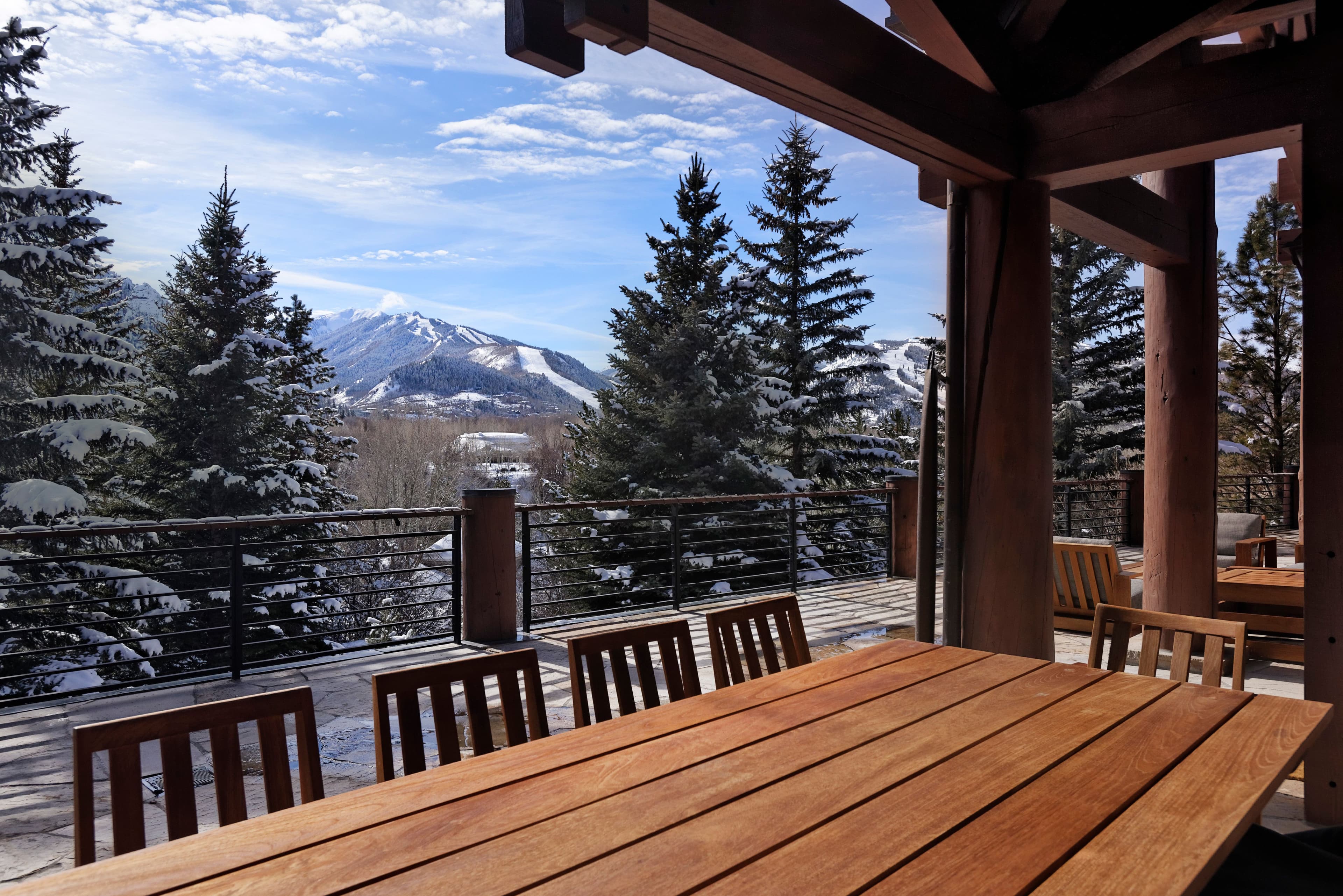 411 Willoughby Way, Aspen, CO 81611 - Photo 39