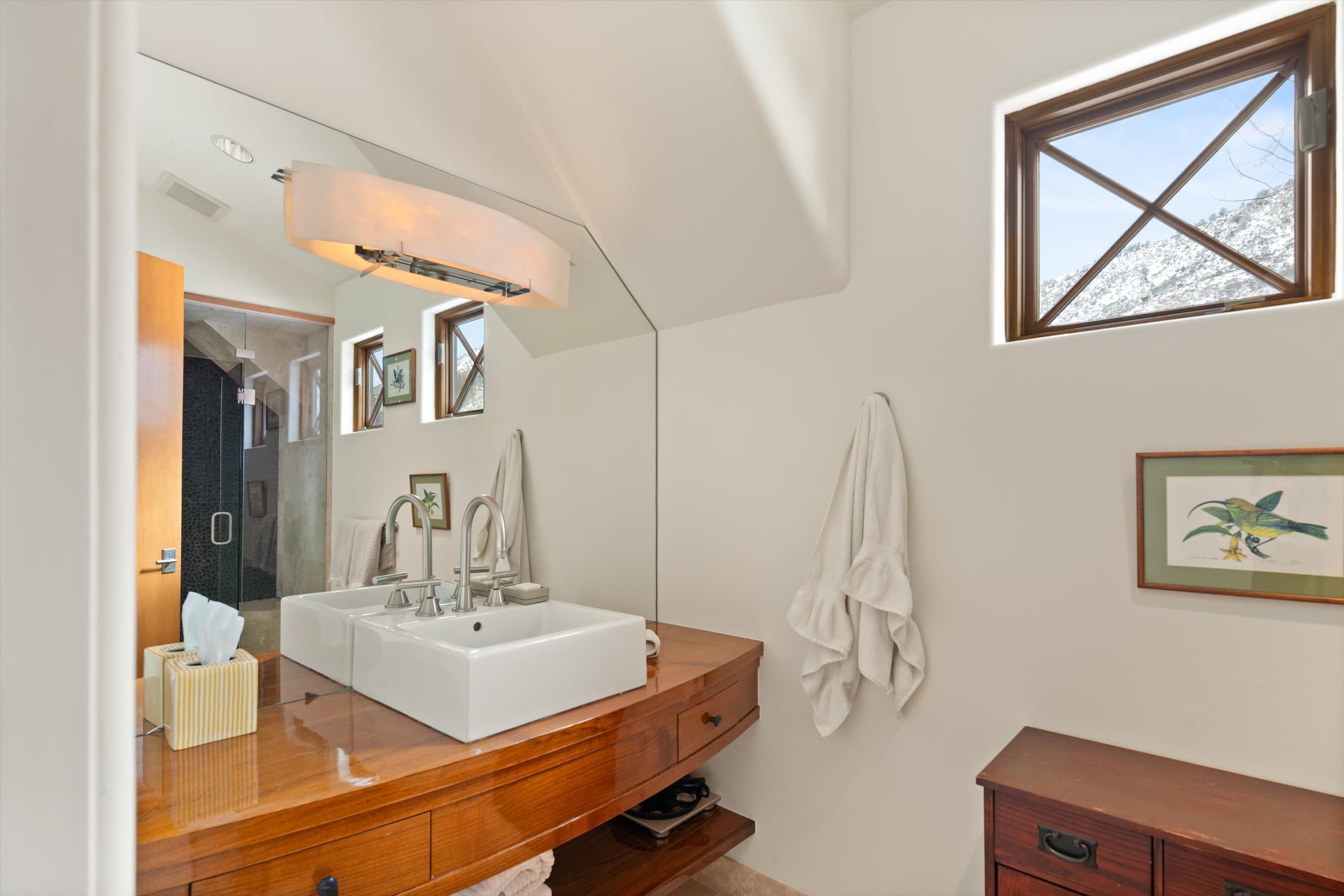 256 Twining Flats Road, Aspen, CO 81611 - Photo 21