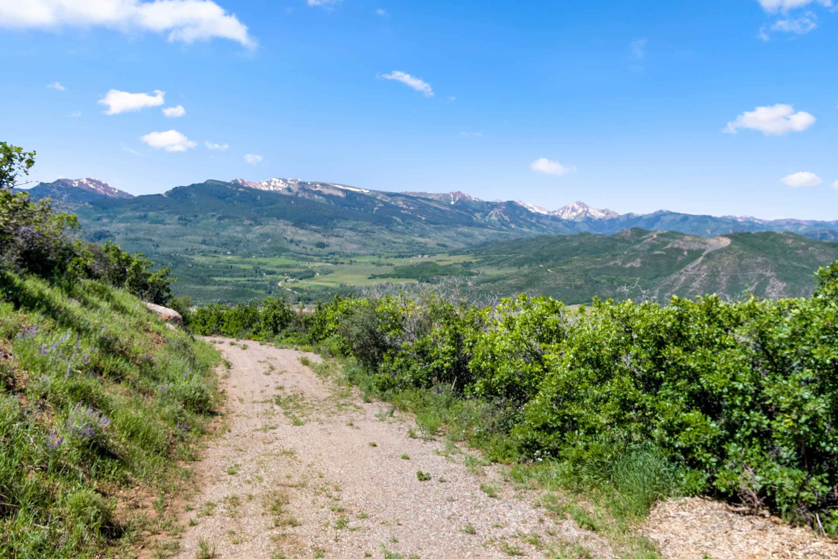 TBD Trentaz Drive, Aspen, CO 81611 - Photo 13