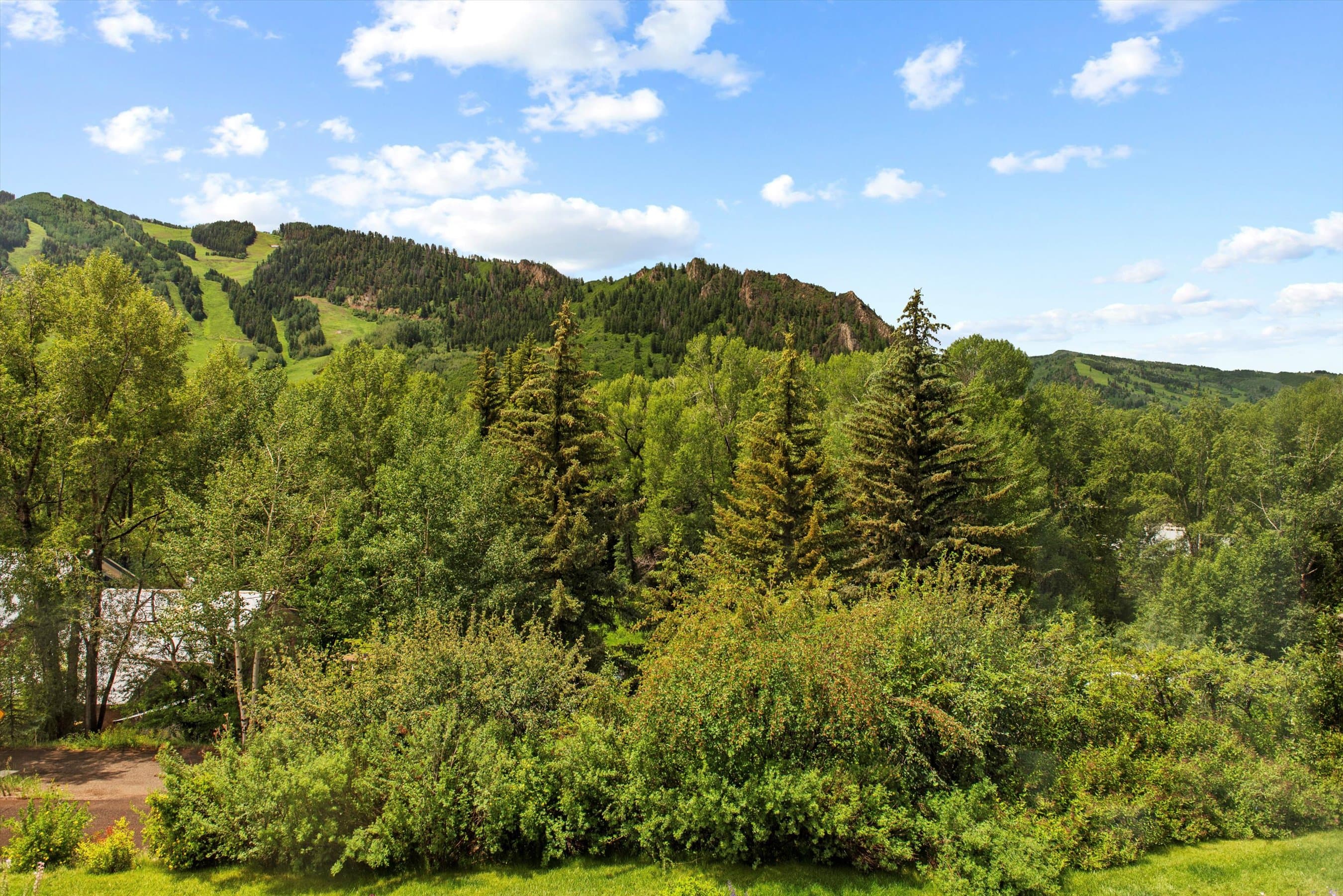 155 Lone Pine Road 8, Aspen, CO 81611 - Photo 36