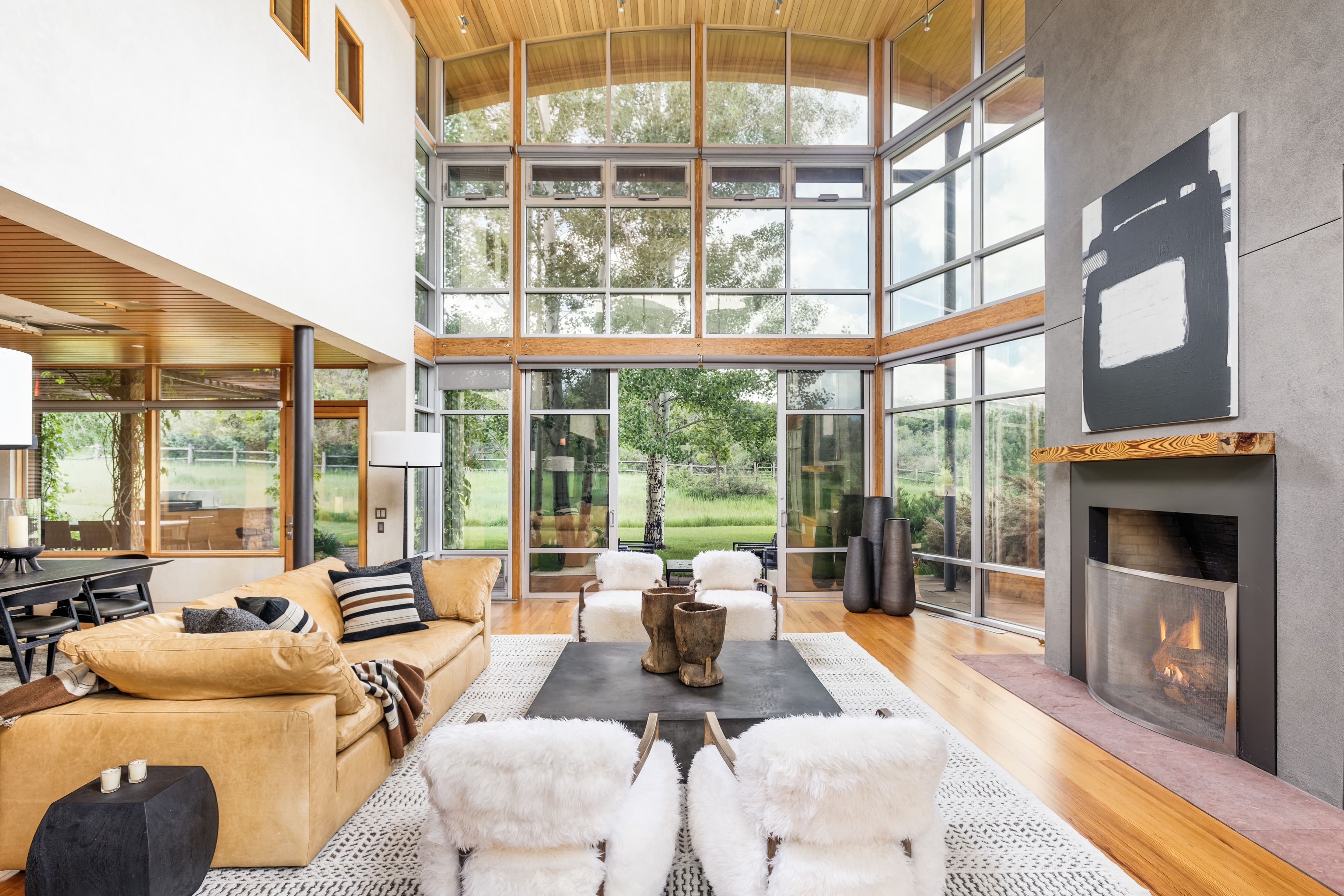 700 Nell Erickson Road, Aspen, CO 81611 - Photo 1