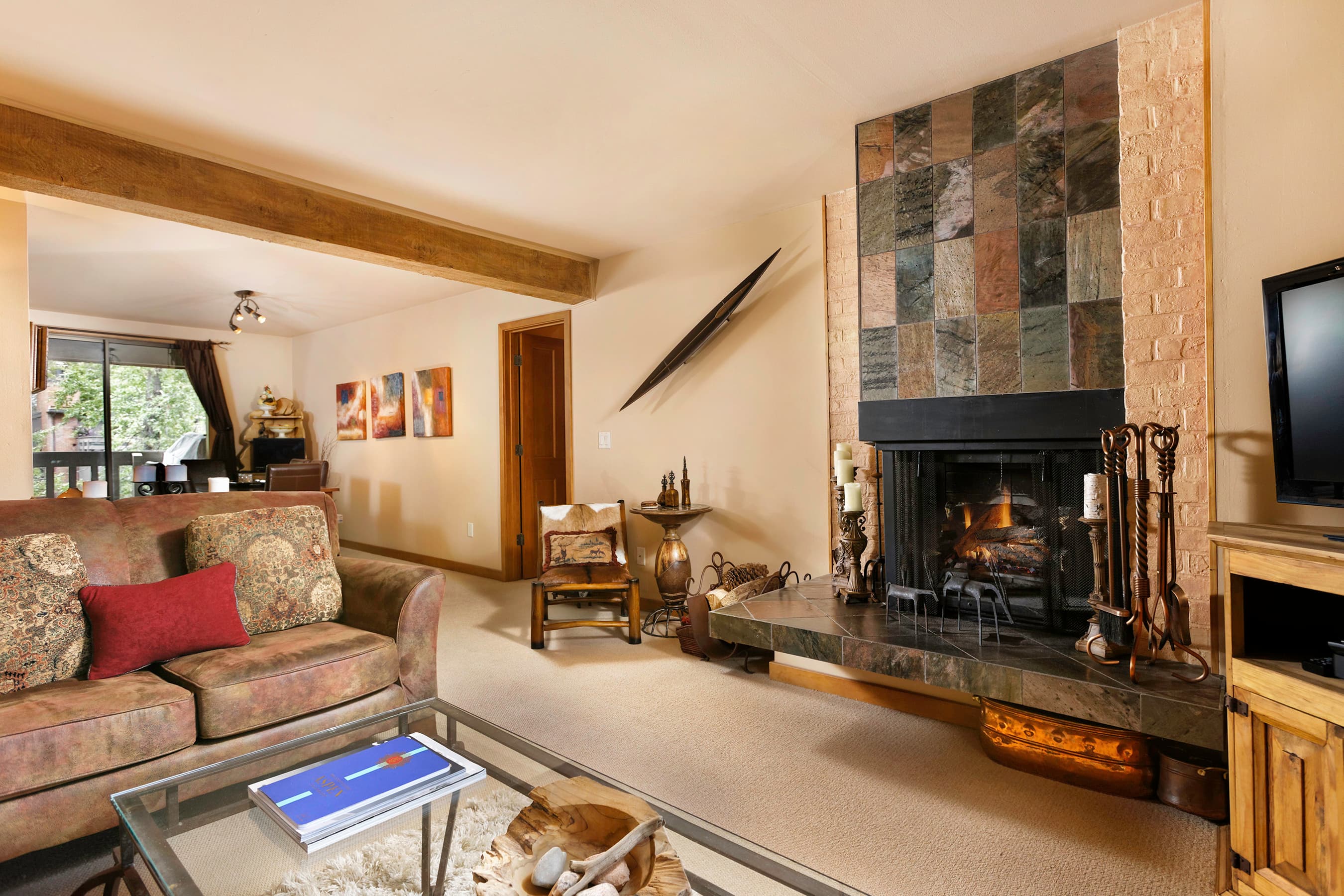 1028 E Hopkins Avenue Unit #24, Aspen, CO 81611 - Photo 6