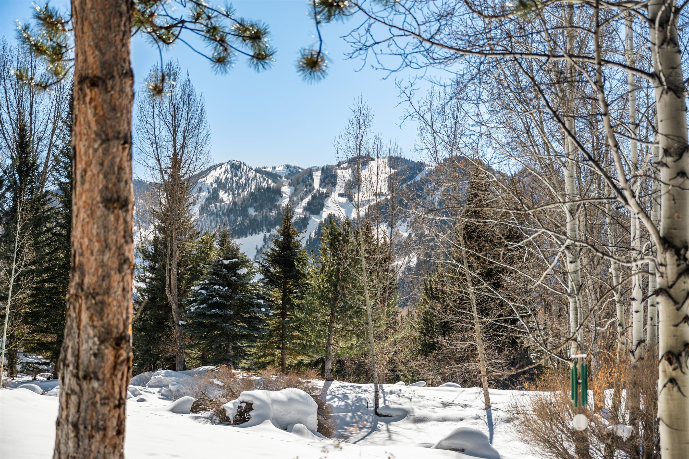 645 Willoughby Way, Aspen, CO 81611 - Photo 14