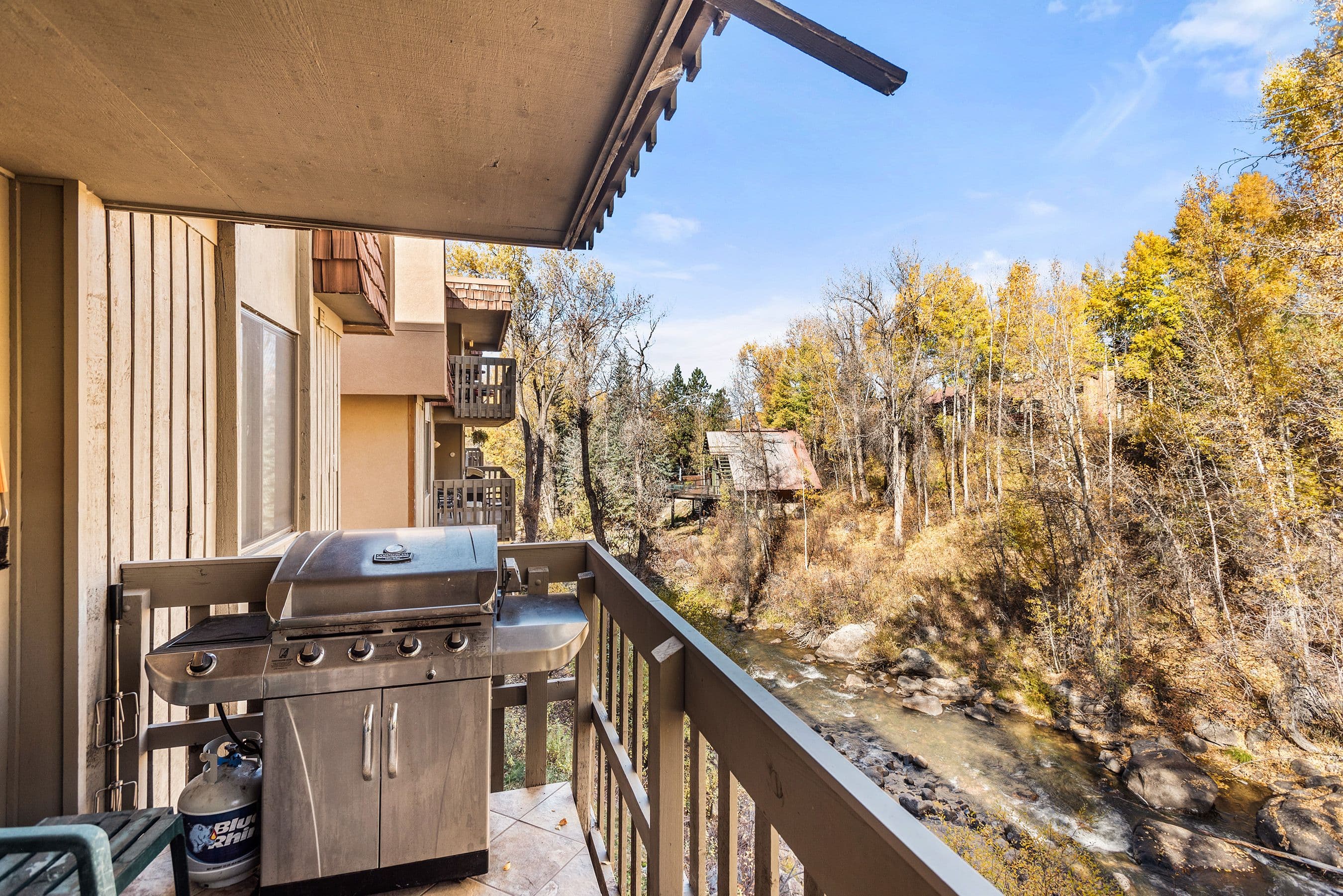 1024 E Hopkins Avenue 12, Aspen, CO 81611 - Photo 2