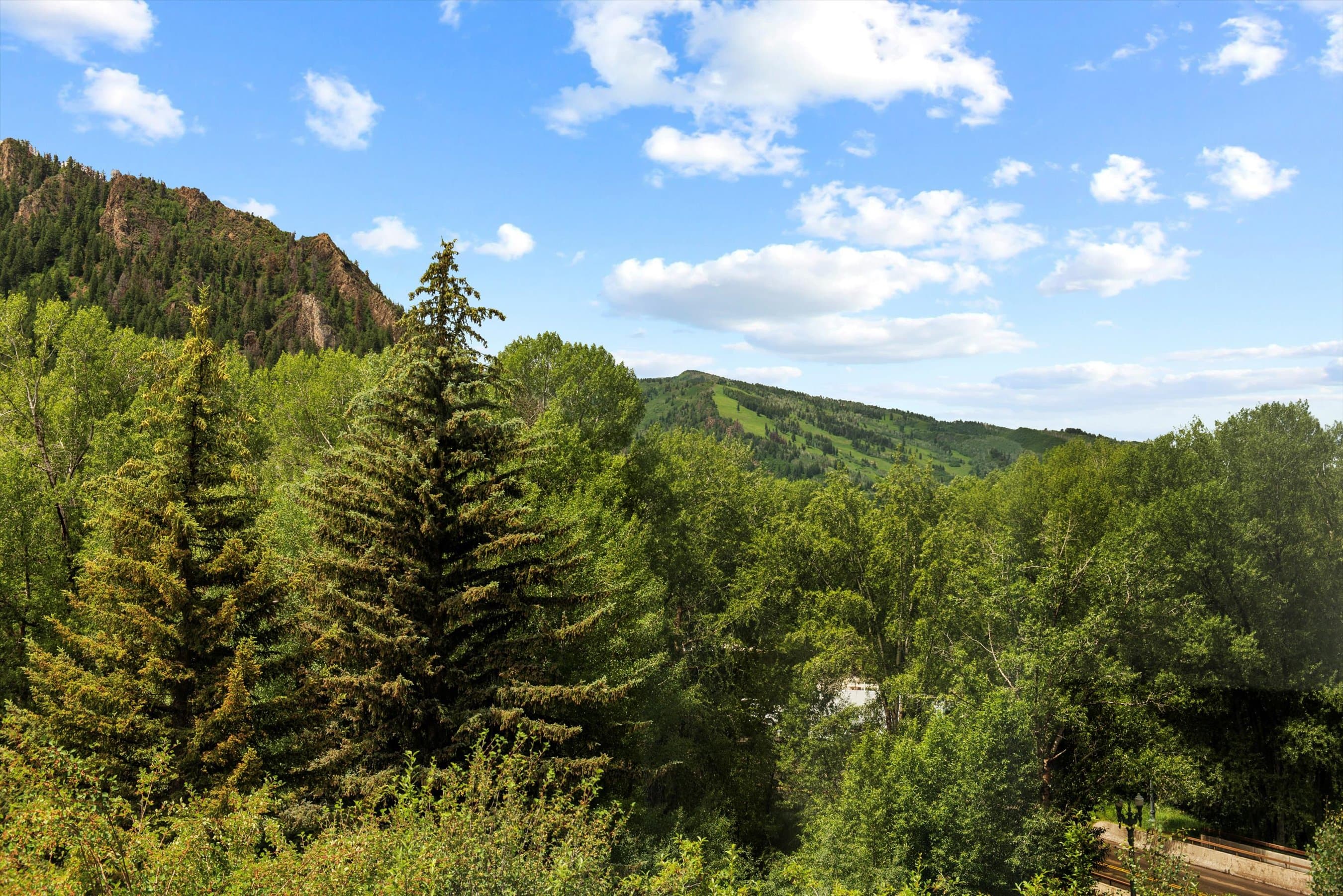 155 Lone Pine Road 8, Aspen, CO 81611 - Photo 17
