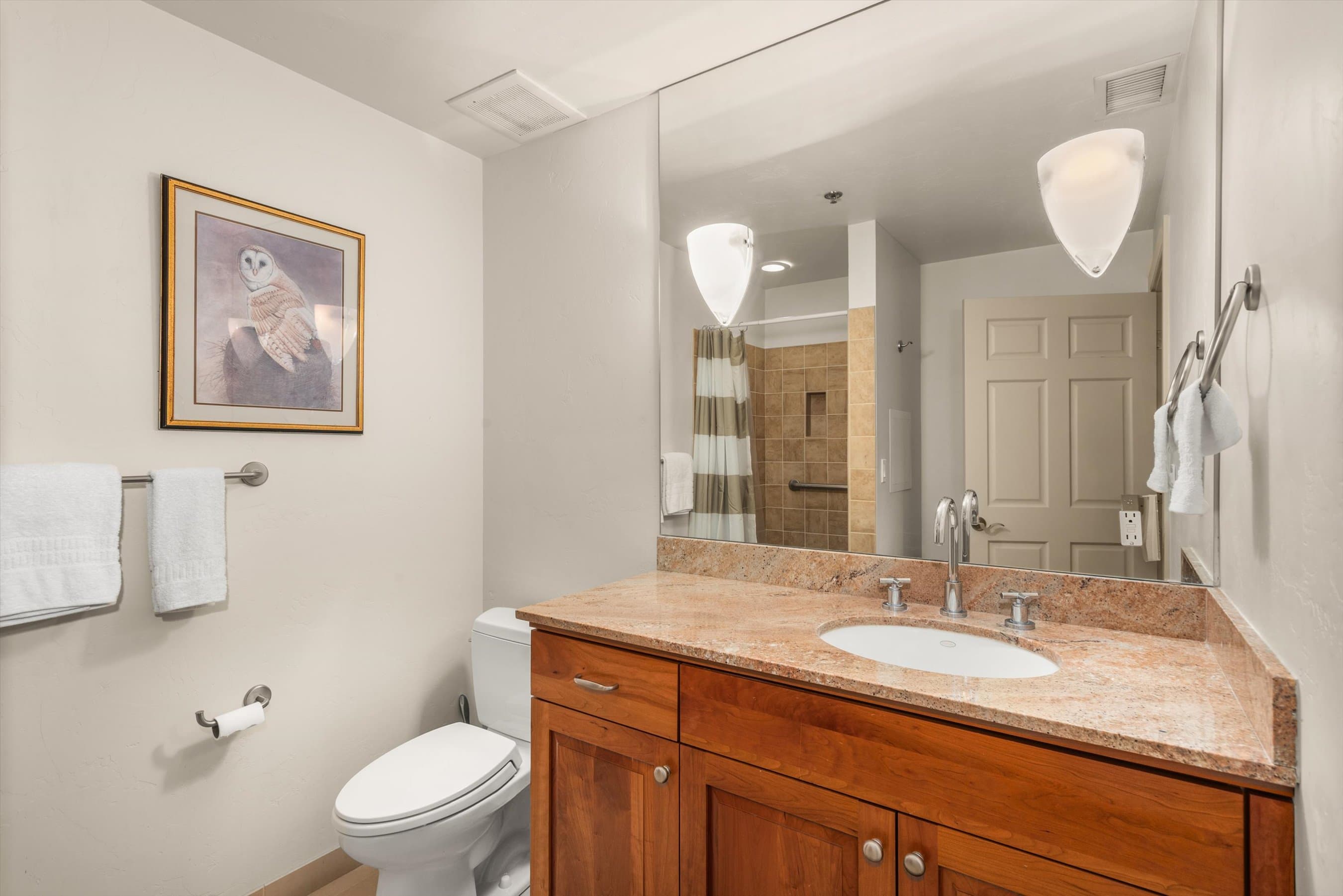 227 Midland Avenue 22, Basalt, CO 81621 - Photo 2