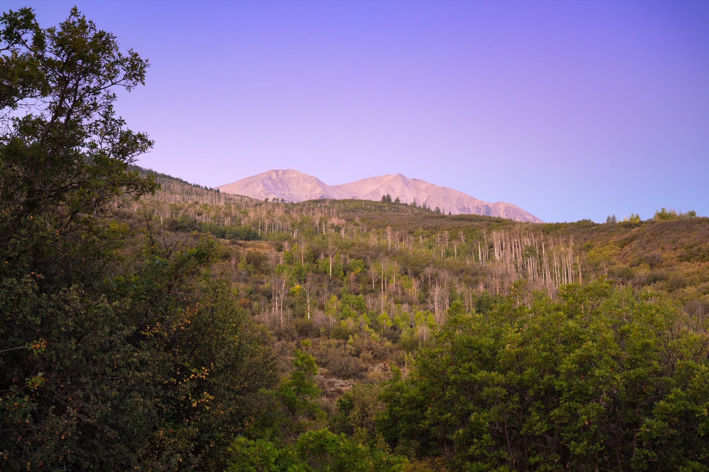 Tbd Old Herron Road, Basalt, CO 81621 - Photo 8