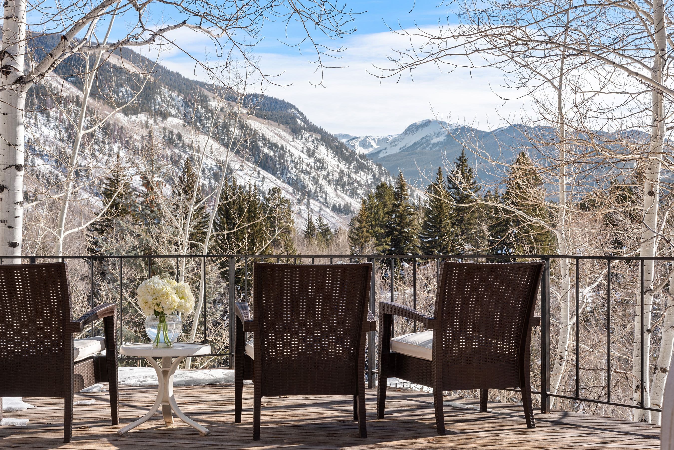 164 Eastwood Road, Aspen, CO 81611 - Photo 12