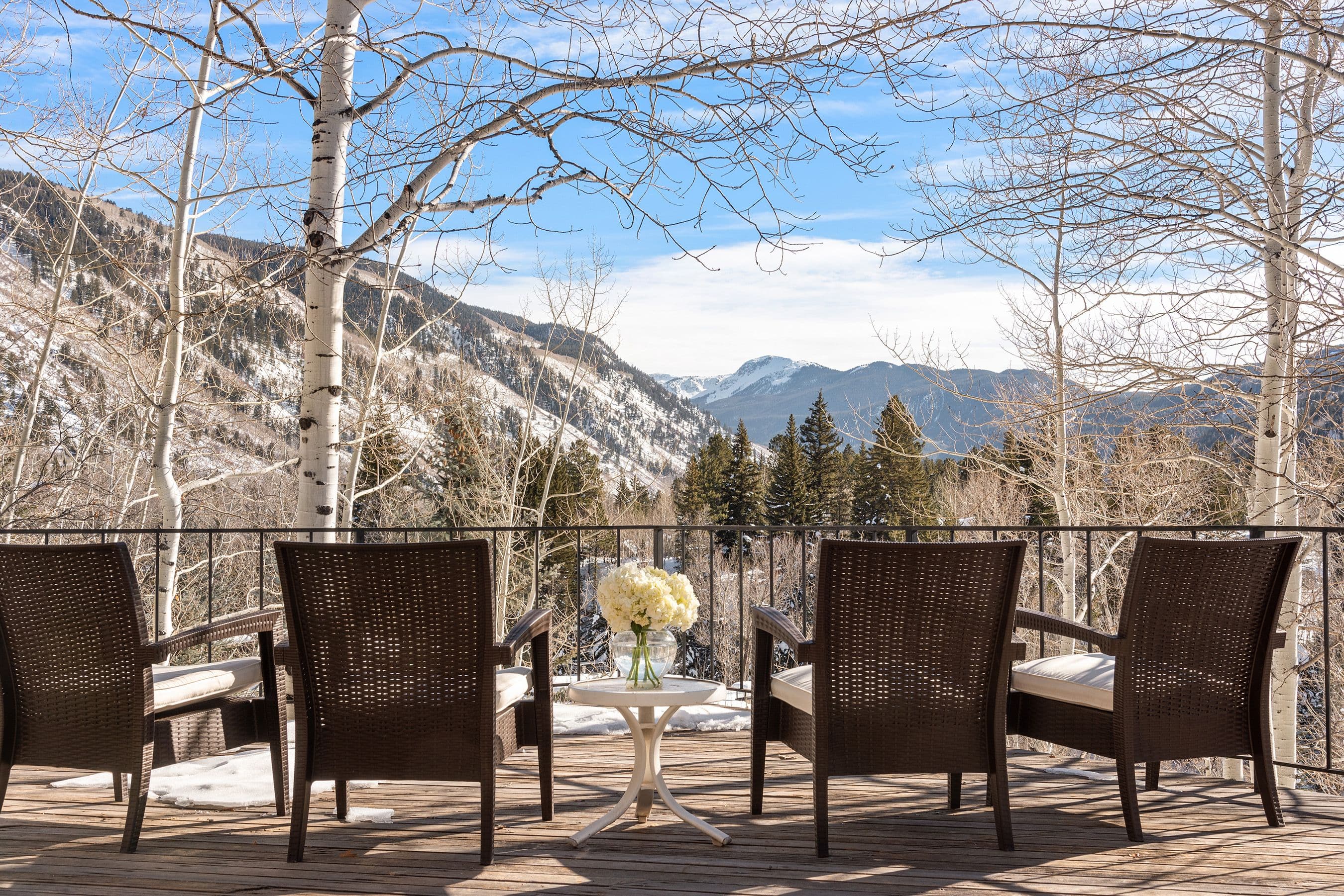 164 Eastwood Road, Aspen, CO 81611 - Photo 33