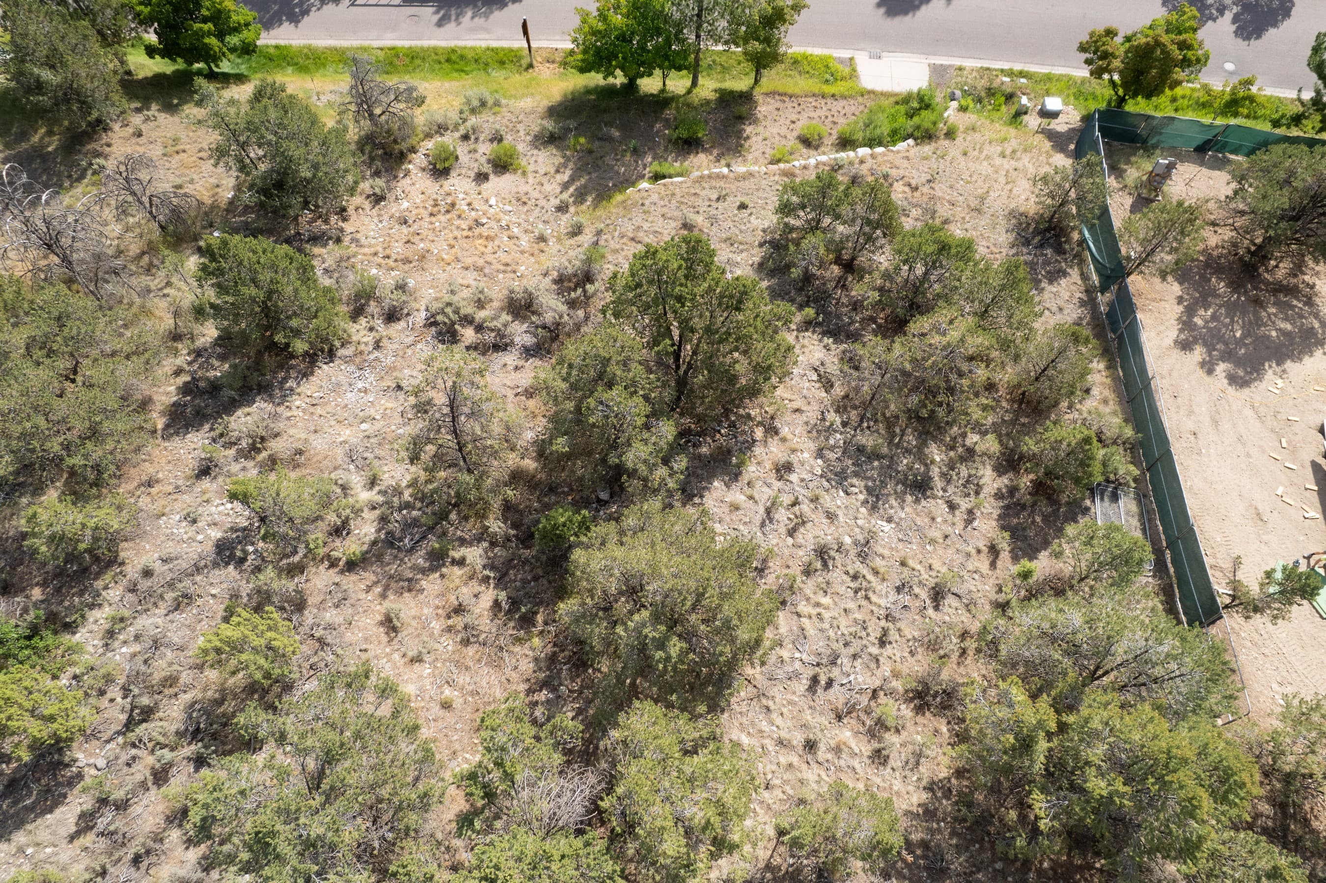 3859 Crystal Bridge Drive, Carbondale, CO 81623 - Photo 4