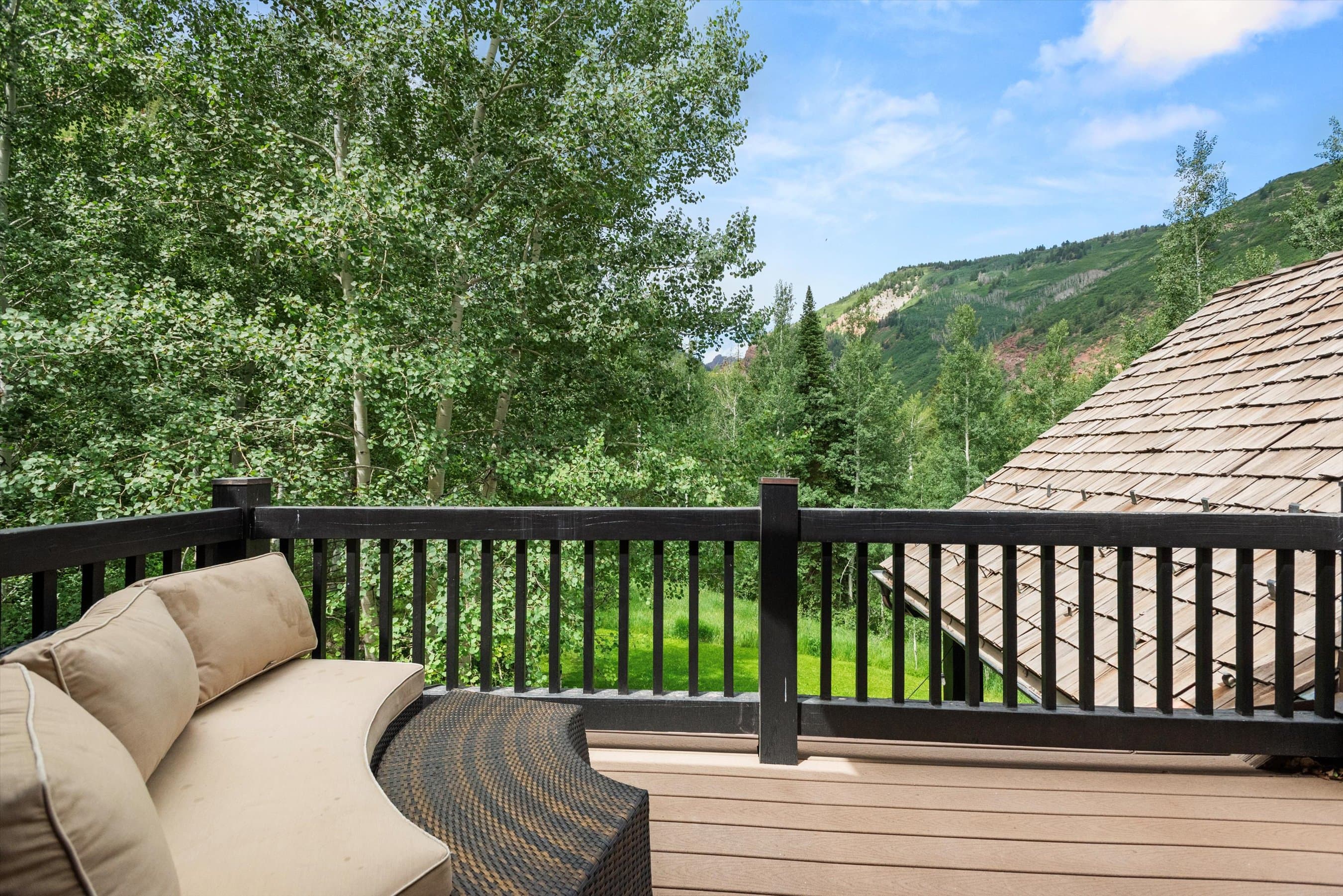 289 Exhibition Lane, Aspen, CO 81611 - Photo 12