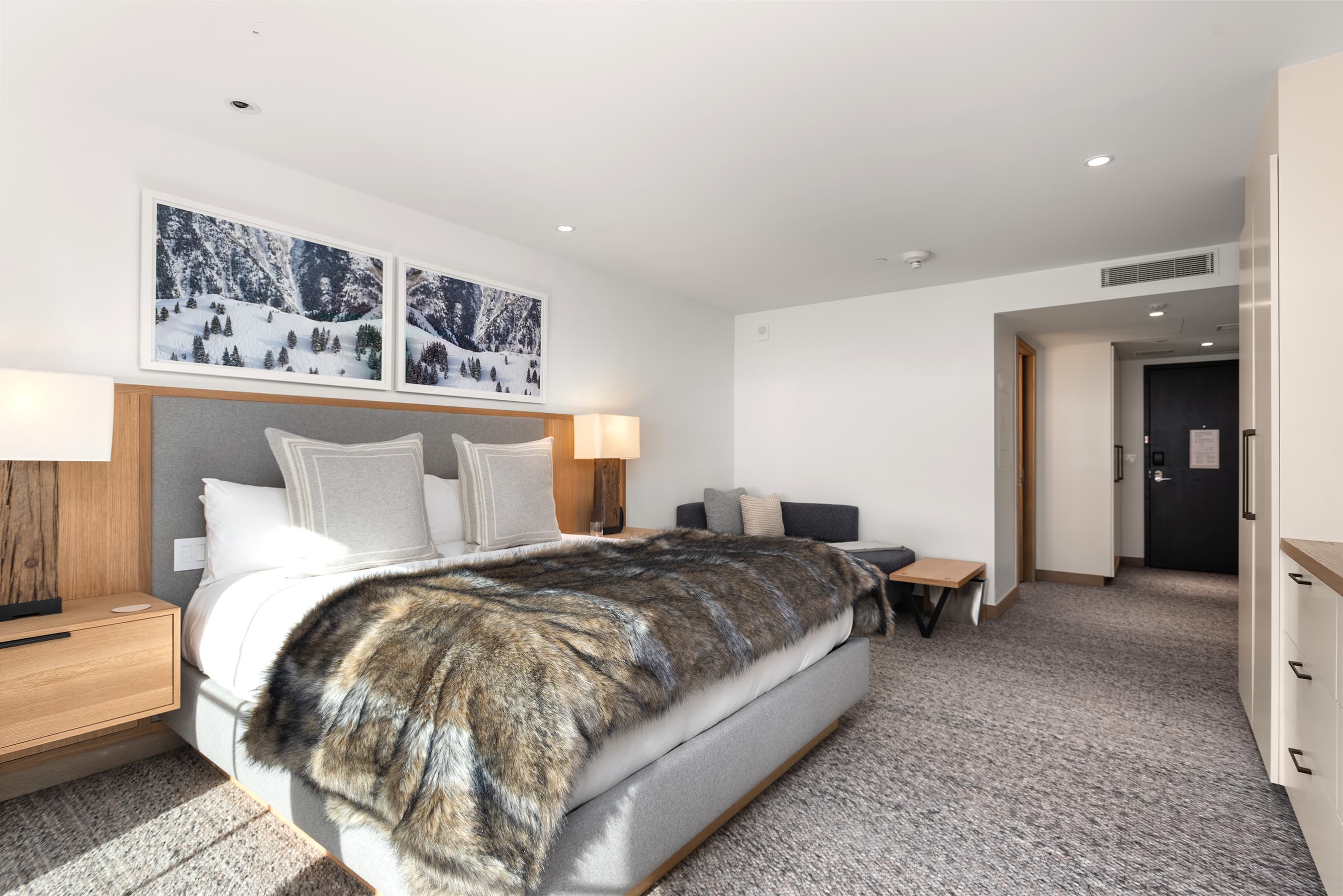 550 S Spring Street 392, Aspen, CO 81611 - Photo 7