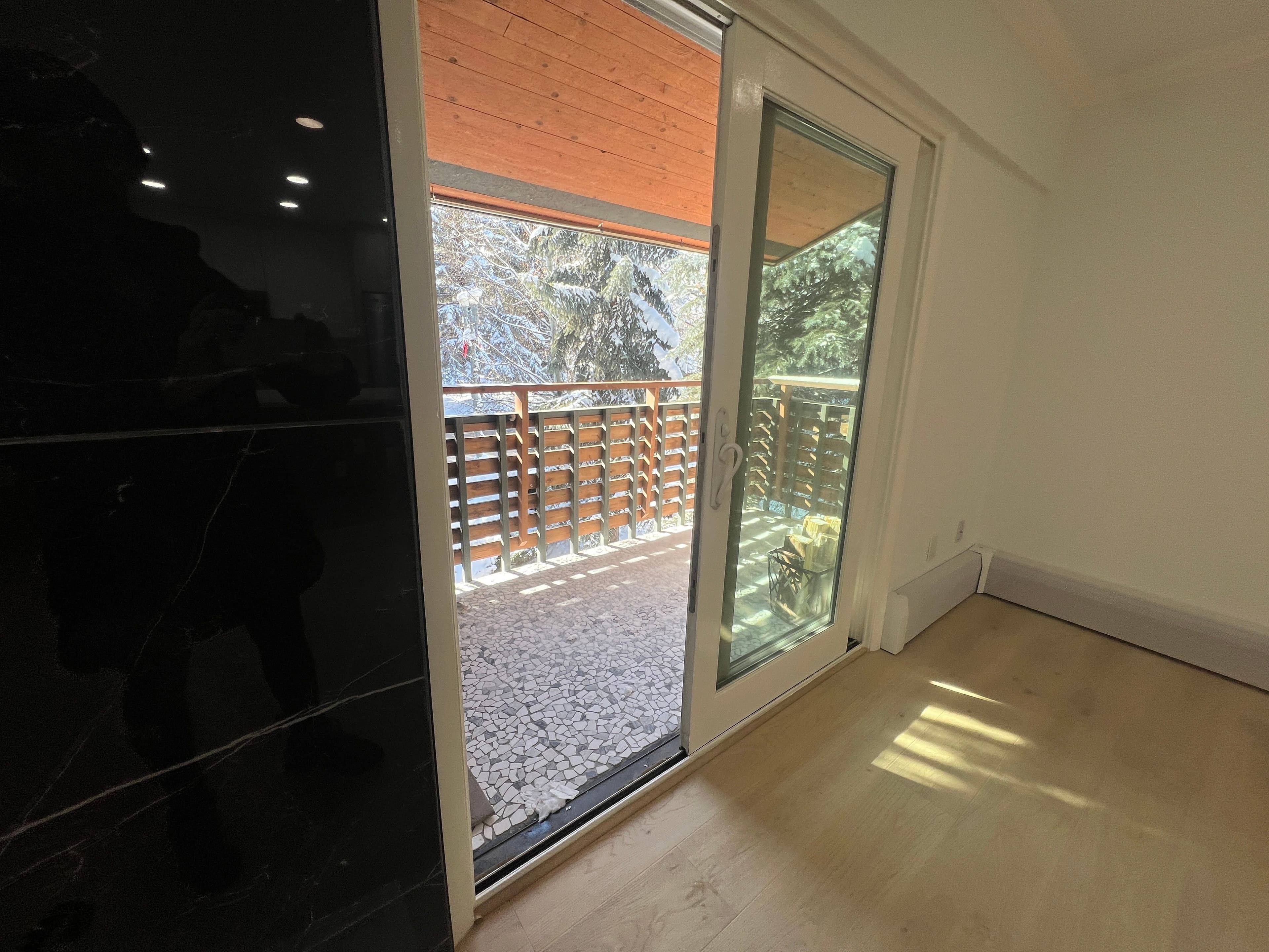910 W Hallam Street 12, Aspen, CO 81611 - Photo 2