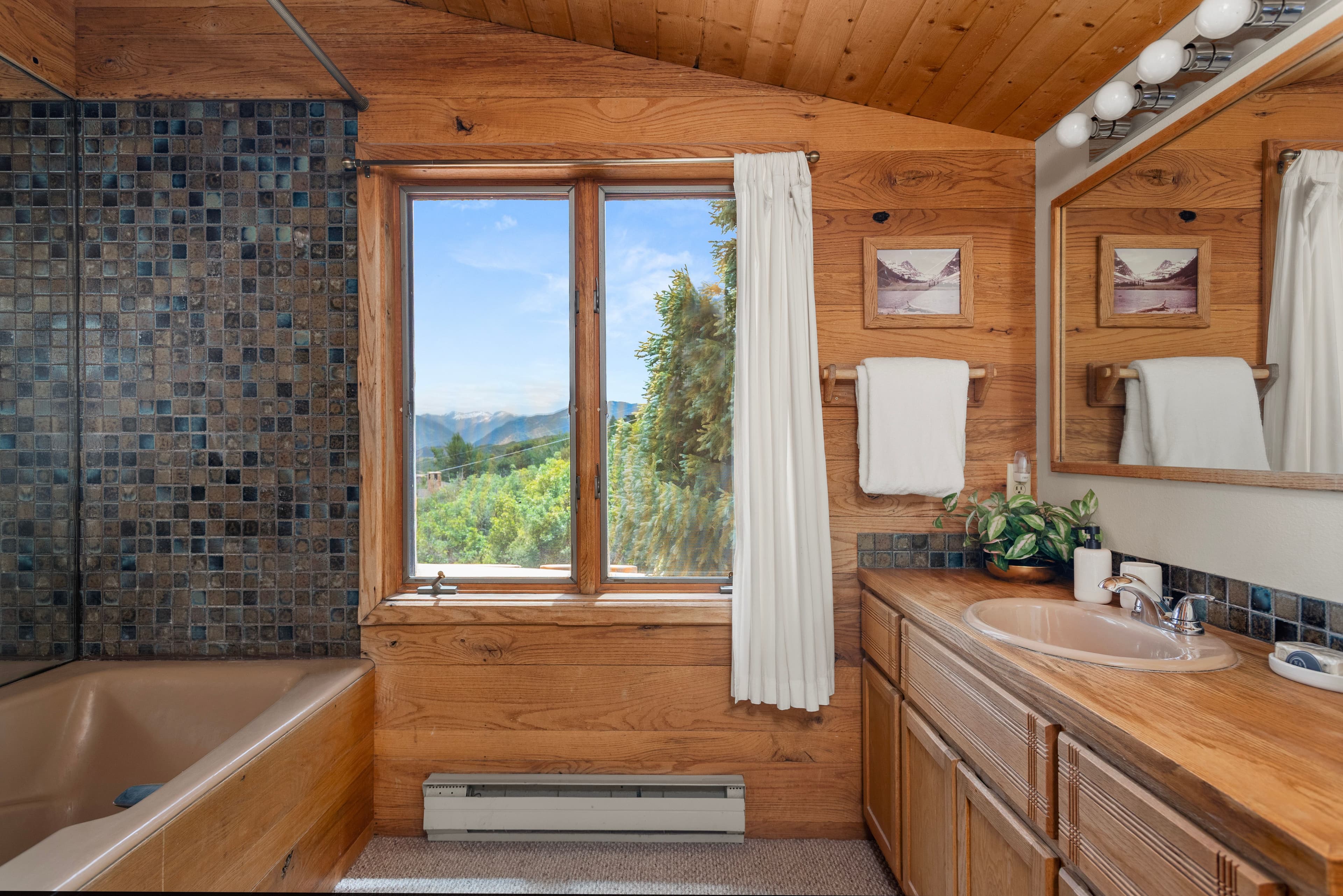 2020 Juniper Hill Drive, Aspen, CO 81611 - Photo 11