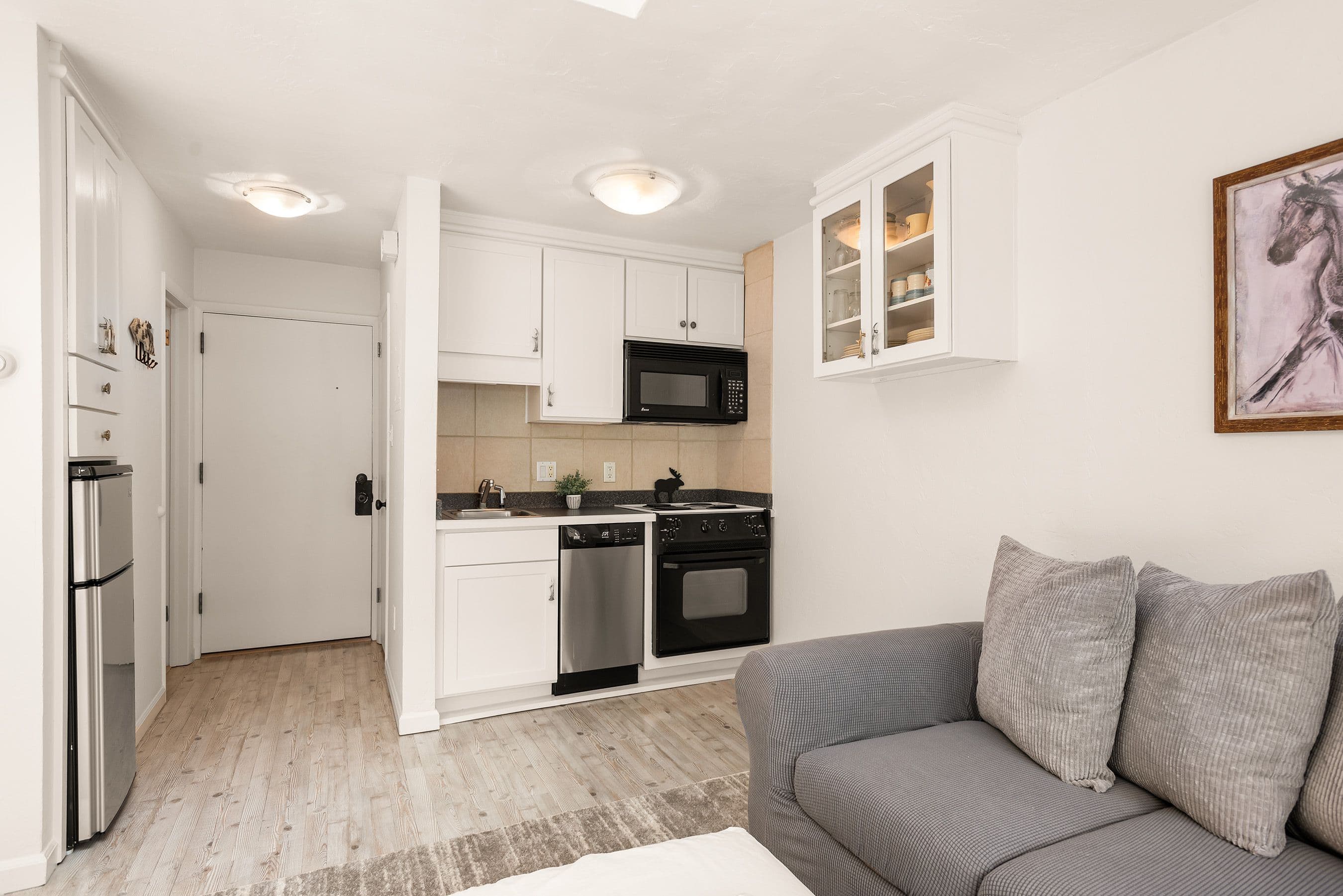 725 E Main Street #305, Aspen, CO 81611 - Photo 4
