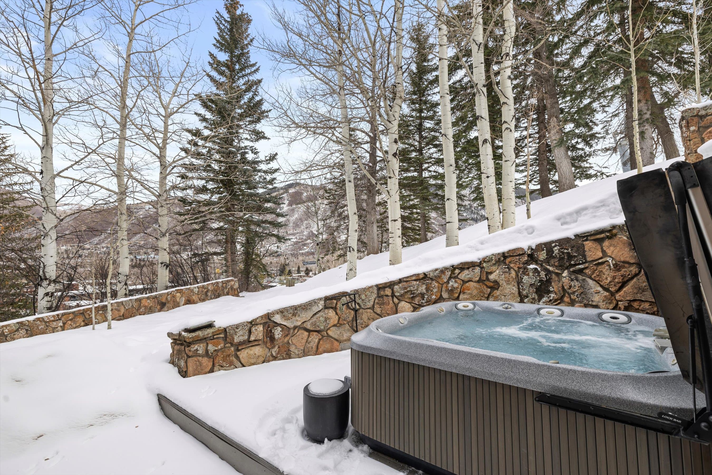730 S Galena Street, Aspen, CO 81611 - Photo 5