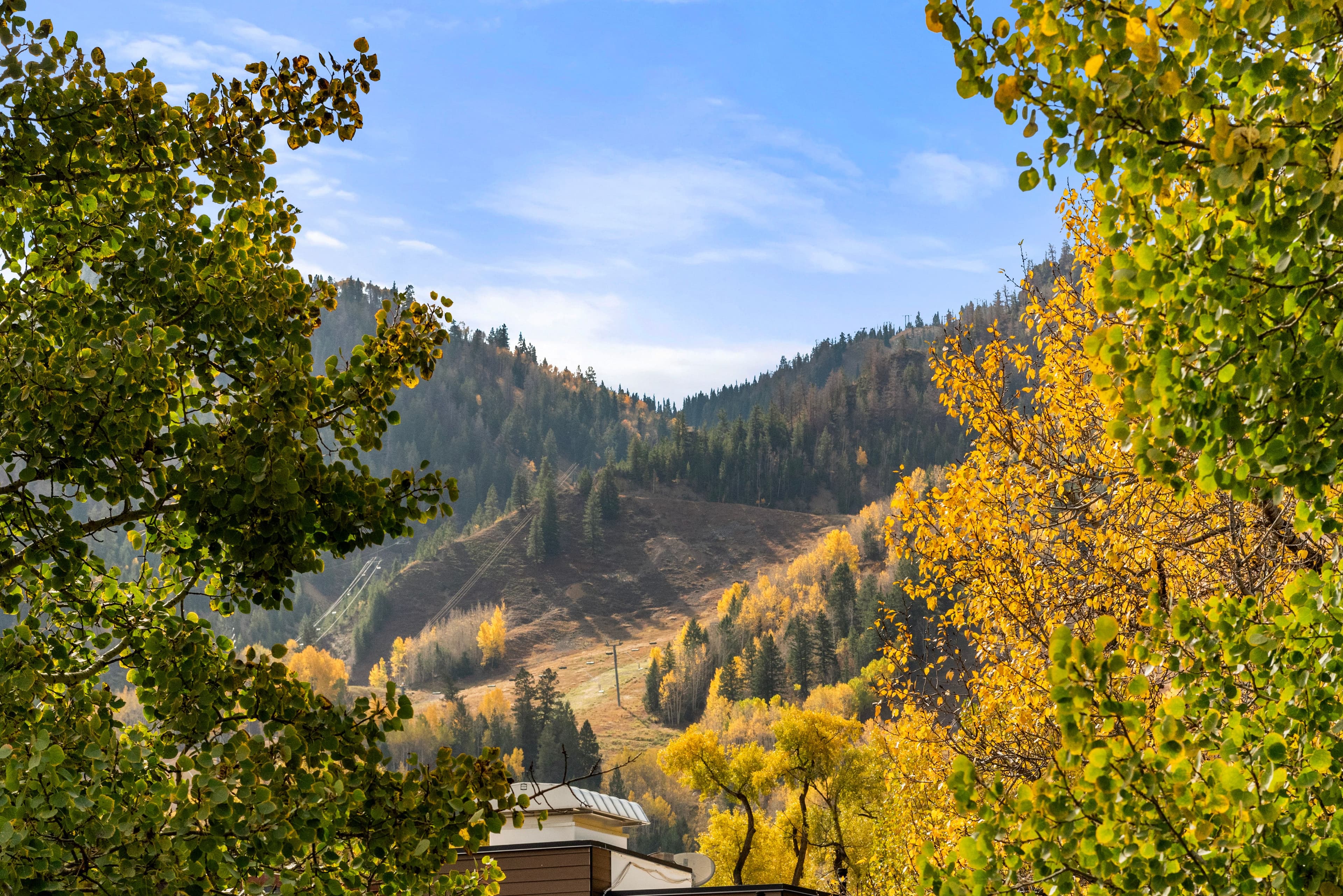 210 E Cooper Avenue 3b, Aspen, CO 81611 - Photo 2