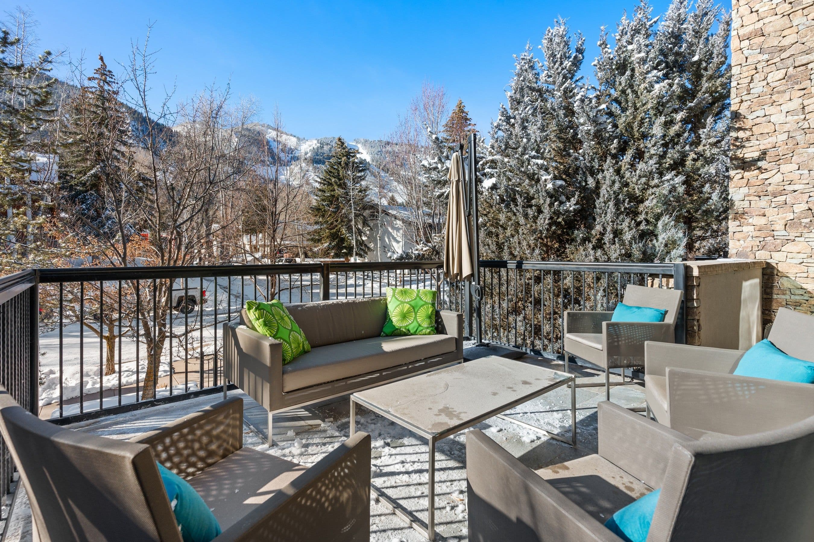 990 E Hopkins Avenue, Aspen, CO 81611 - Photo 16