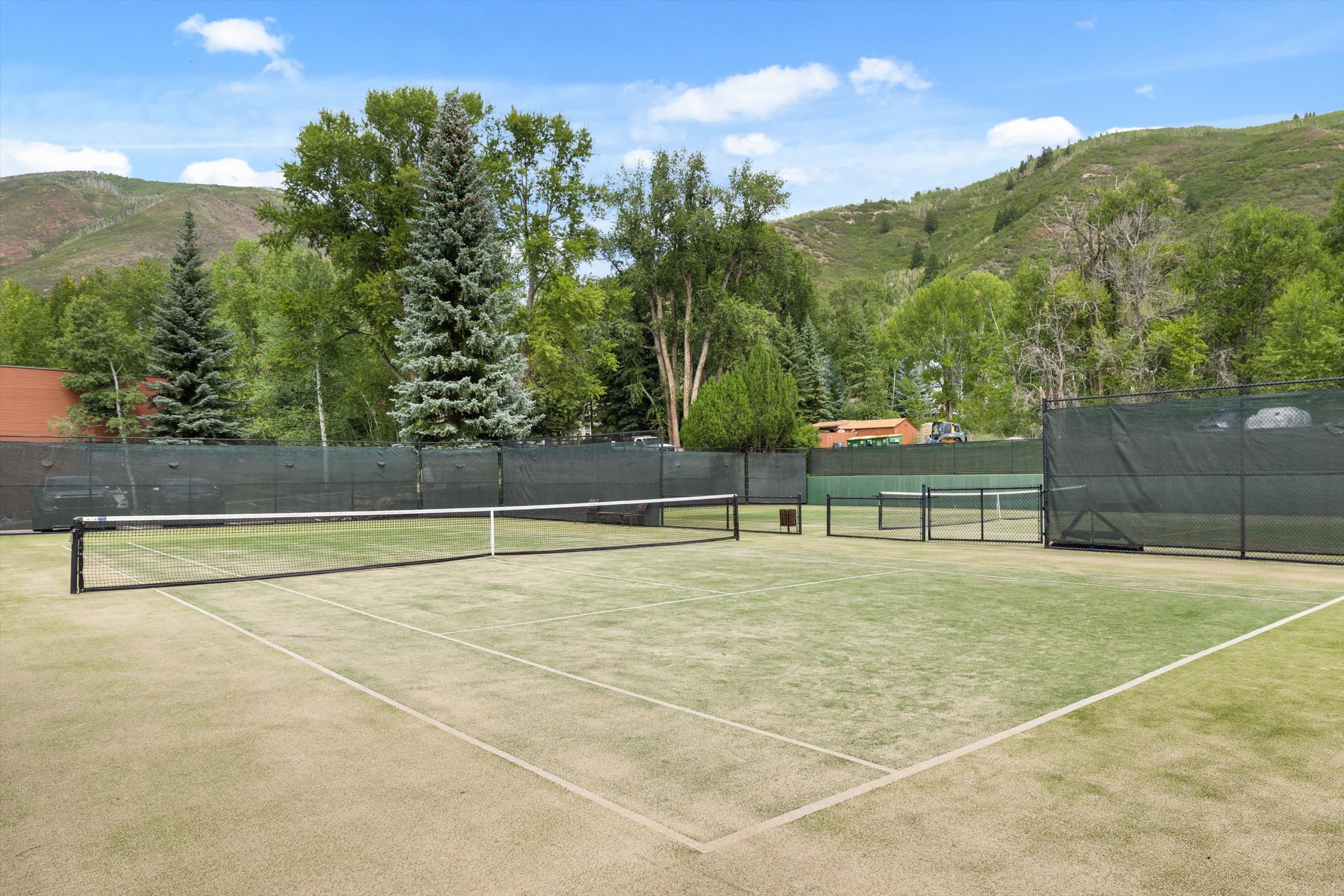 950 Vine Street, Aspen, CO 81611 - Photo 23