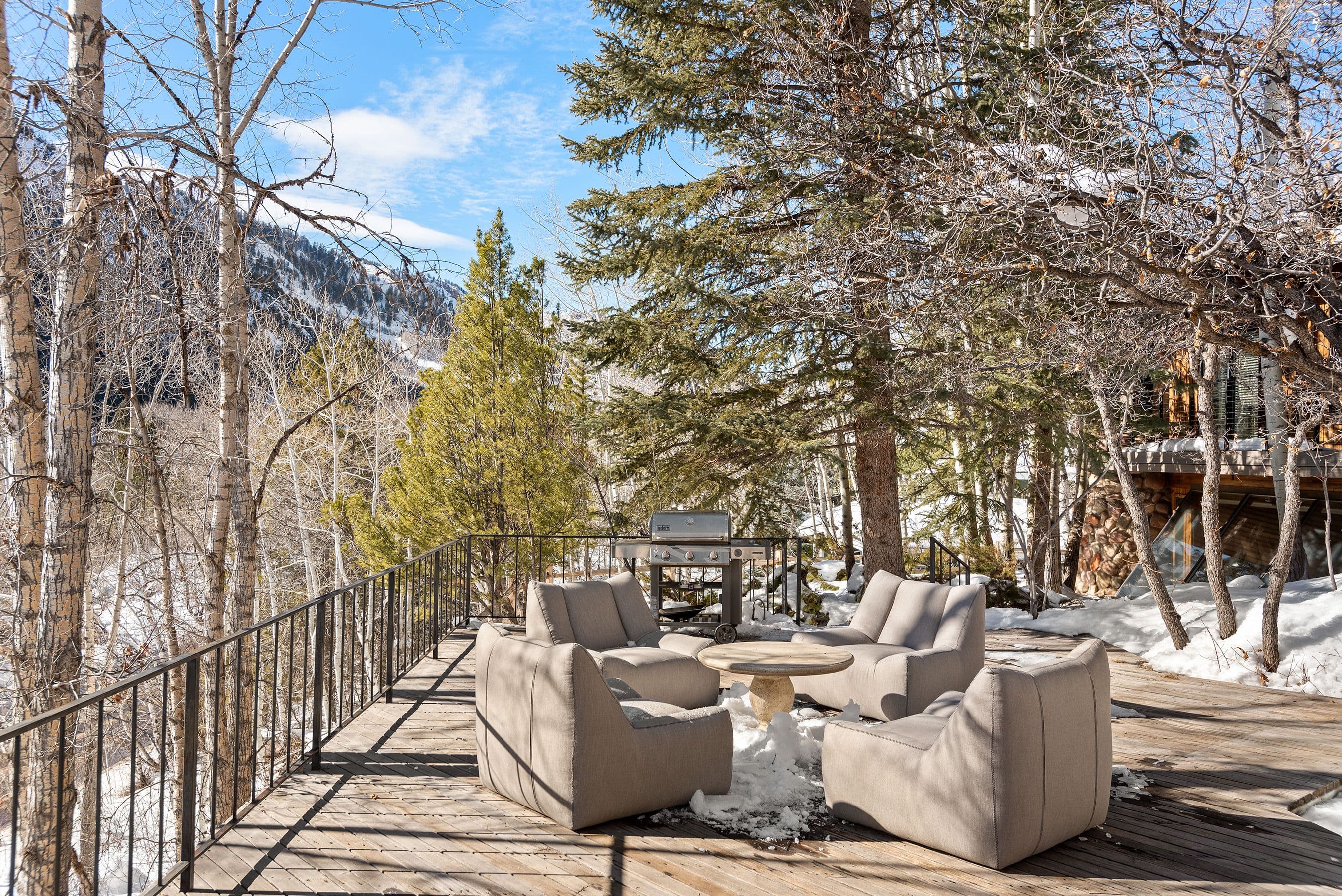 164 Eastwood Road, Aspen, CO 81611 - Photo 5