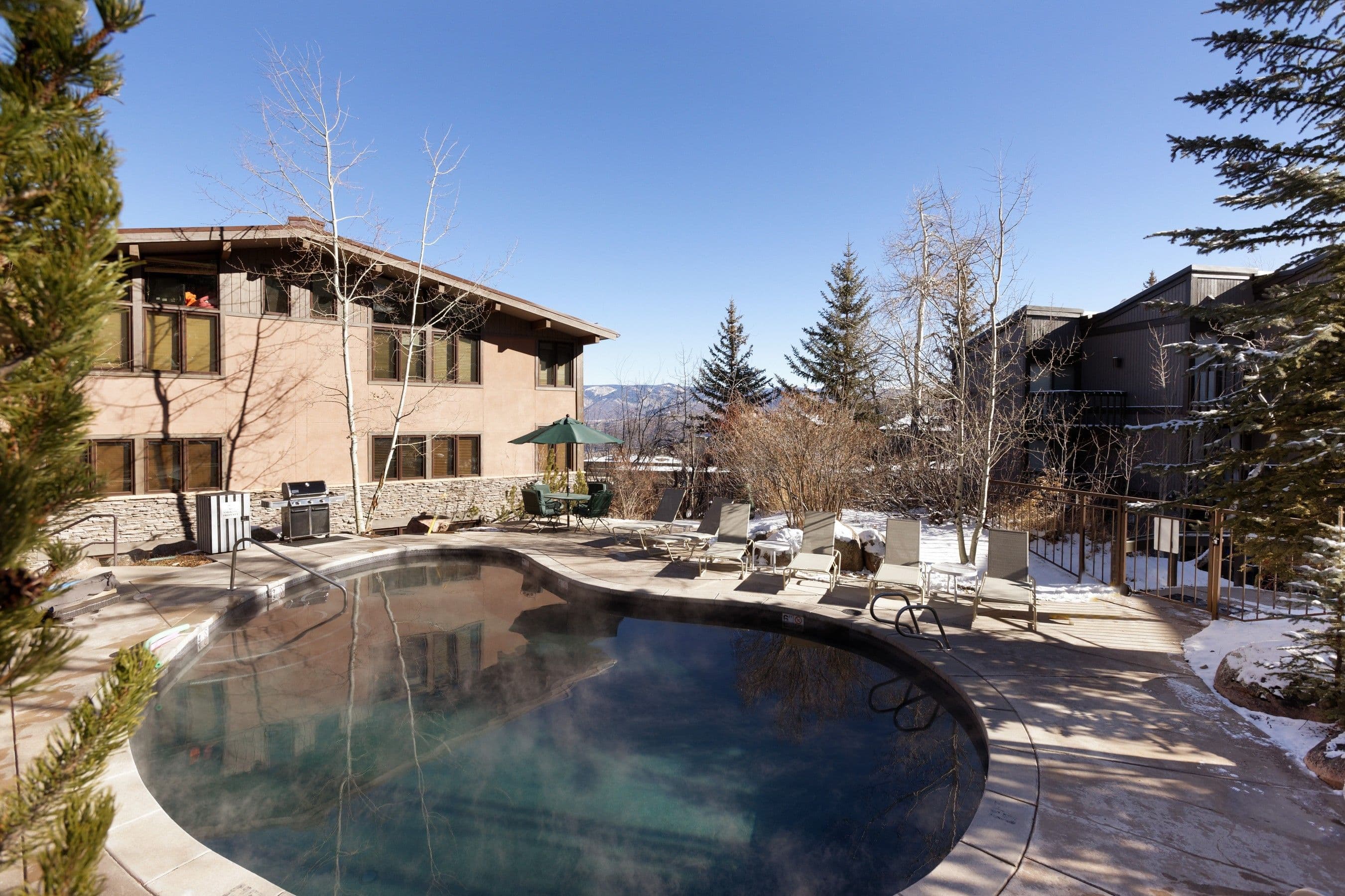 600 Carriage Way L-6, Snowmass Village, CO 81615 - Photo 14